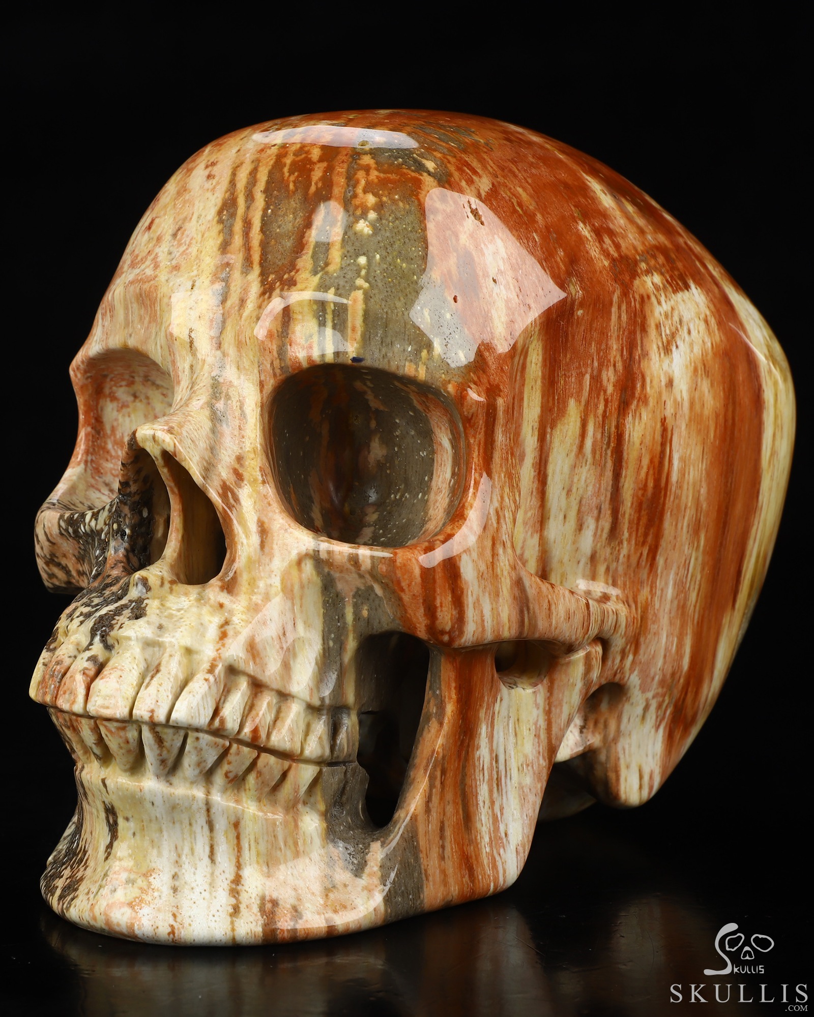 Lifesized 6.8" Petrified Wood Hand Carved Crystal Skull, Super Realistic, Crystal Healing Lifesized 6.8" Petrified Wood Hand Carved Crystal Skull, Super Realistic, Crystal Healing