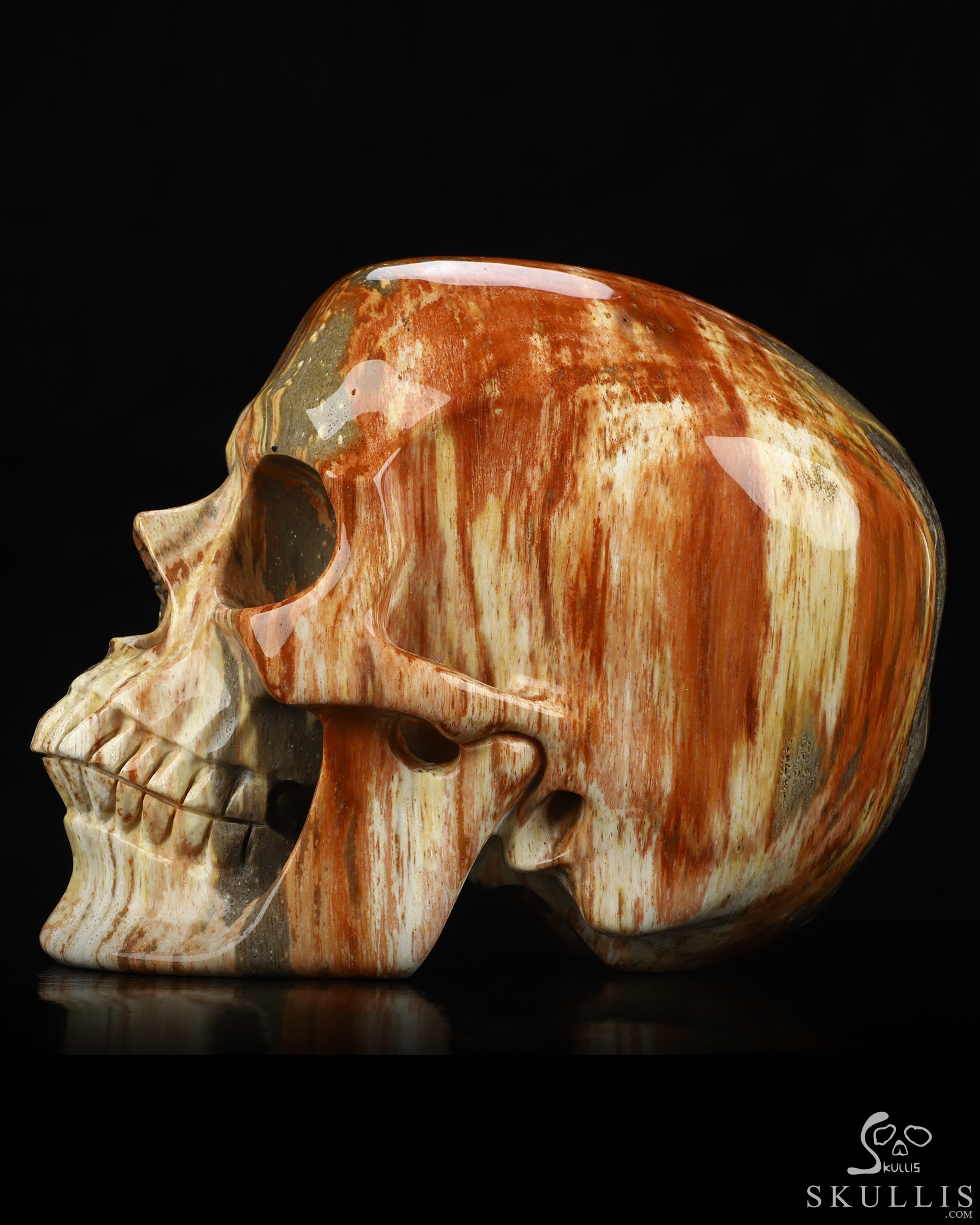 Lifesized 6.8" Petrified Wood Hand Carved Crystal Skull, Super Realistic, Crystal Healing Lifesized 6.8" Petrified Wood Hand Carved Crystal Skull, Super Realistic, Crystal Healing