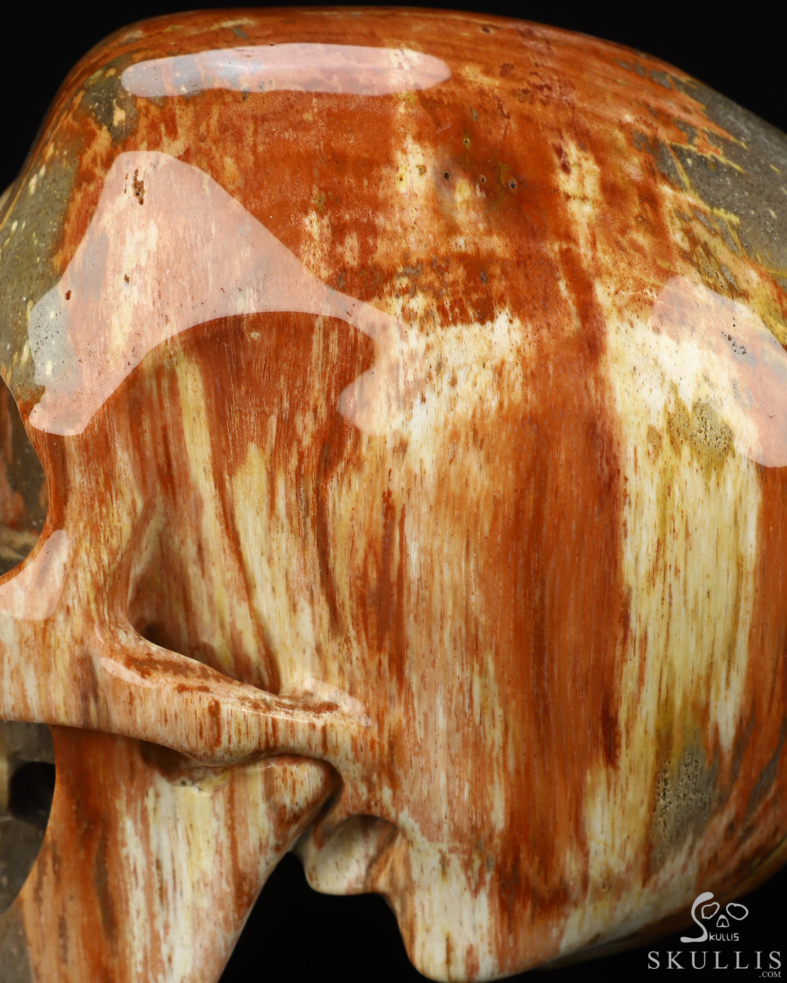 Lifesized 6.8" Petrified Wood Hand Carved Crystal Skull, Super Realistic, Crystal Healing Lifesized 6.8" Petrified Wood Hand Carved Crystal Skull, Super Realistic, Crystal Healing
