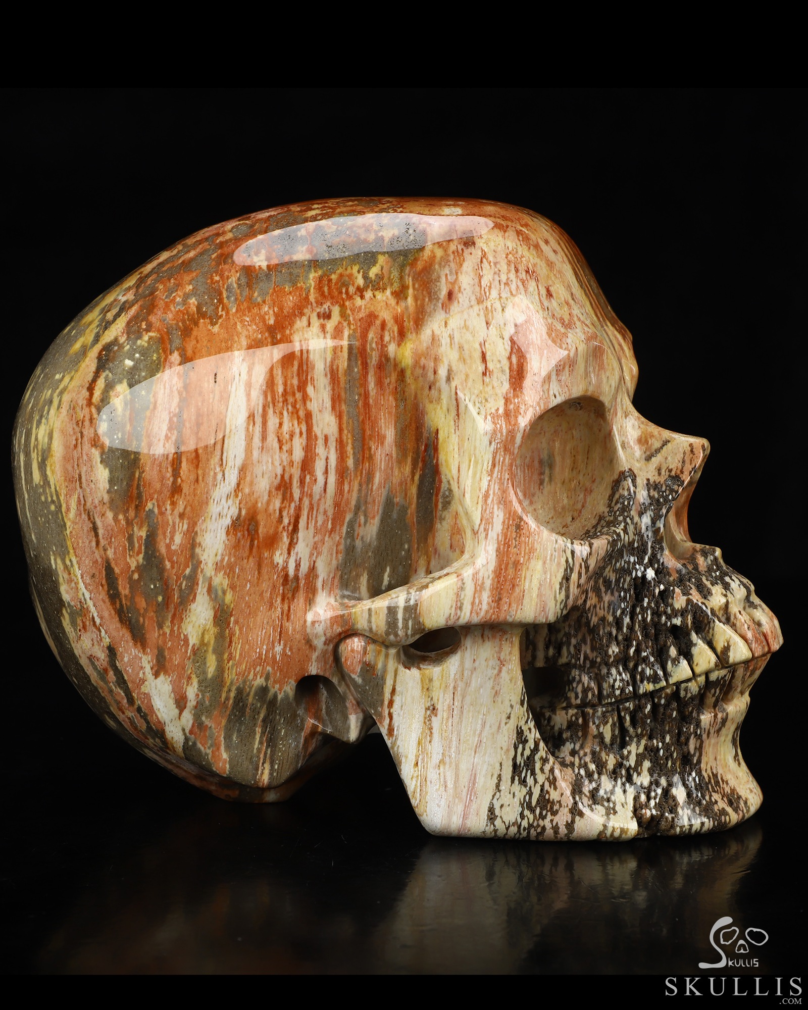 Lifesized 6.8" Petrified Wood Hand Carved Crystal Skull, Super Realistic, Crystal Healing Lifesized 6.8" Petrified Wood Hand Carved Crystal Skull, Super Realistic, Crystal Healing