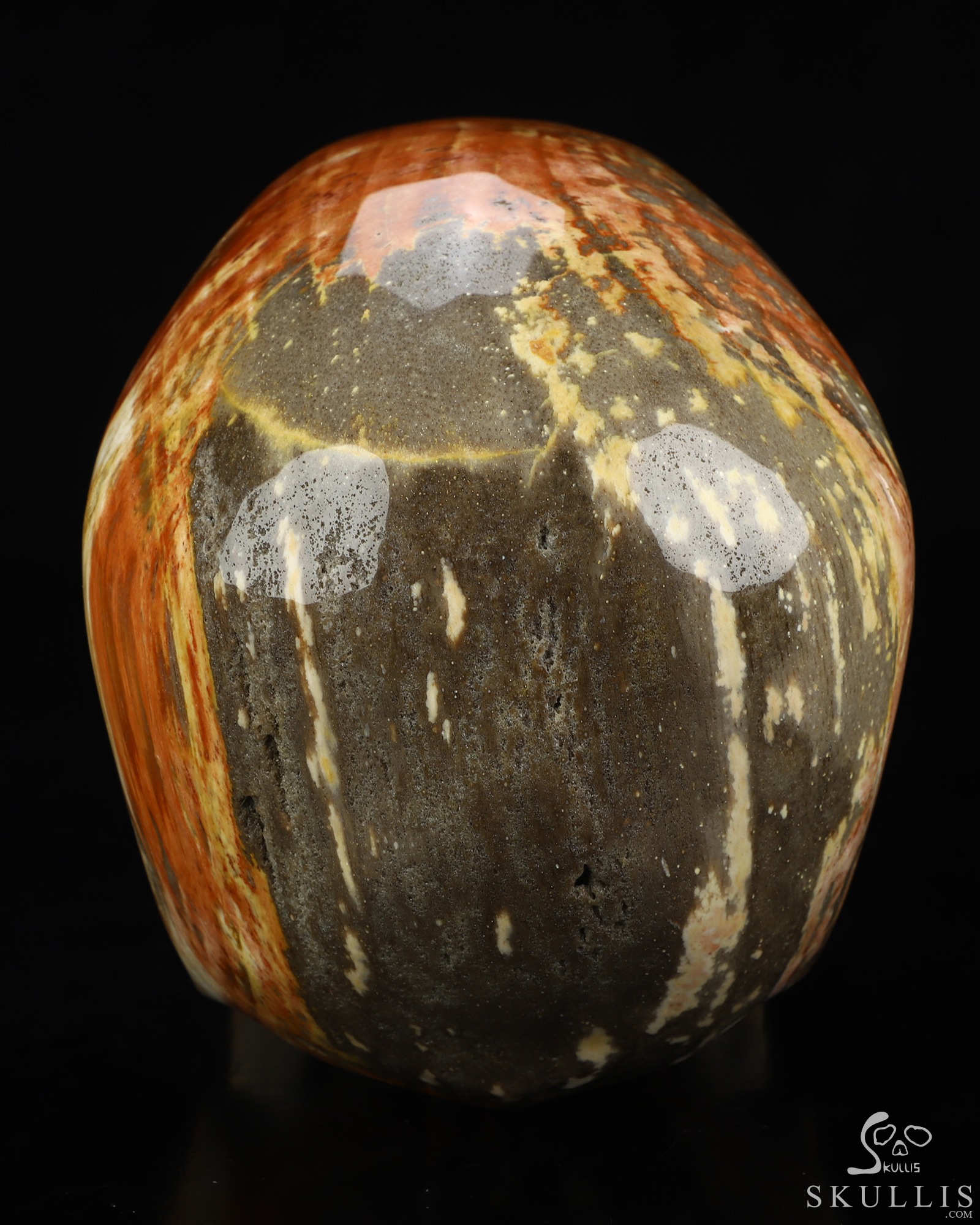 Lifesized 6.8" Petrified Wood Hand Carved Crystal Skull, Super Realistic, Crystal Healing Lifesized 6.8" Petrified Wood Hand Carved Crystal Skull, Super Realistic, Crystal Healing