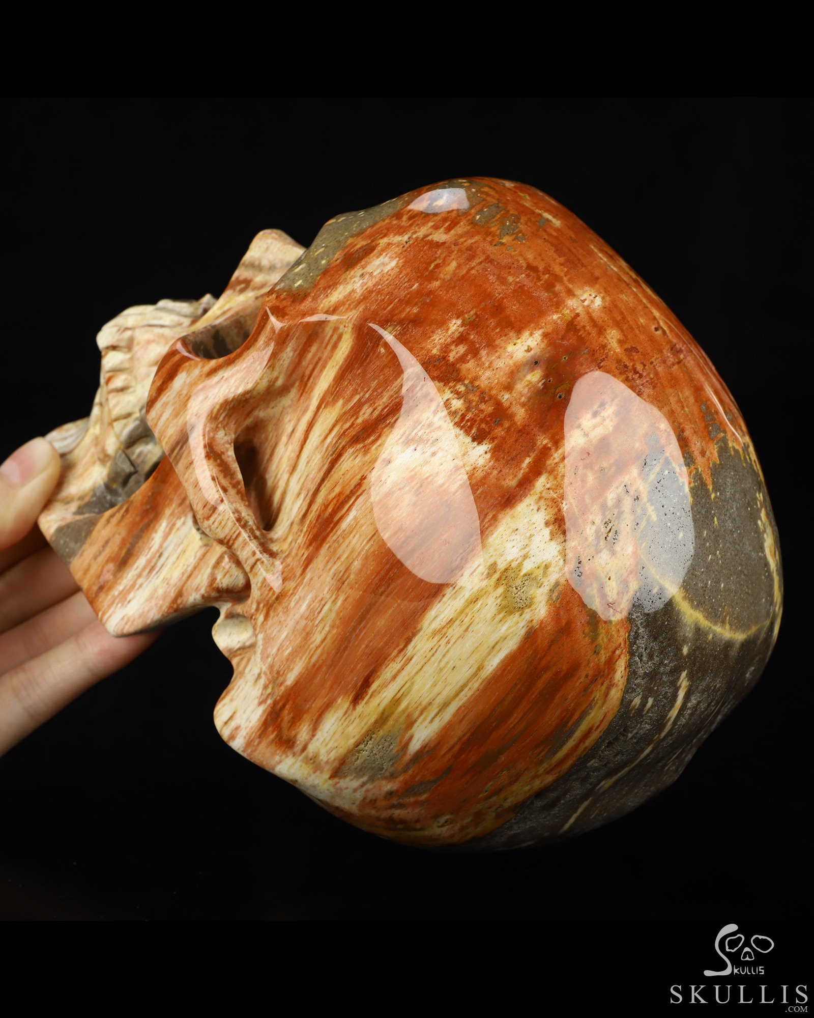 Lifesized 6.8" Petrified Wood Hand Carved Crystal Skull, Super Realistic, Crystal Healing Lifesized 6.8" Petrified Wood Hand Carved Crystal Skull, Super Realistic, Crystal Healing