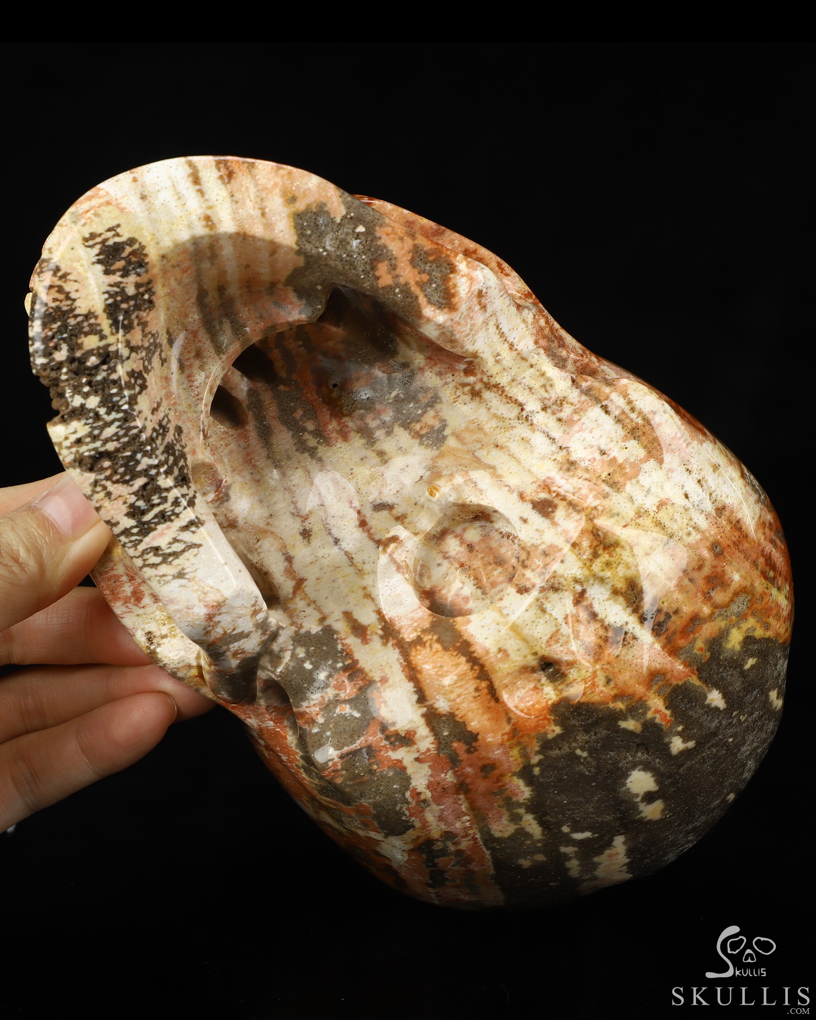 Lifesized 6.8" Petrified Wood Hand Carved Crystal Skull, Super Realistic, Crystal Healing Lifesized 6.8" Petrified Wood Hand Carved Crystal Skull, Super Realistic, Crystal Healing