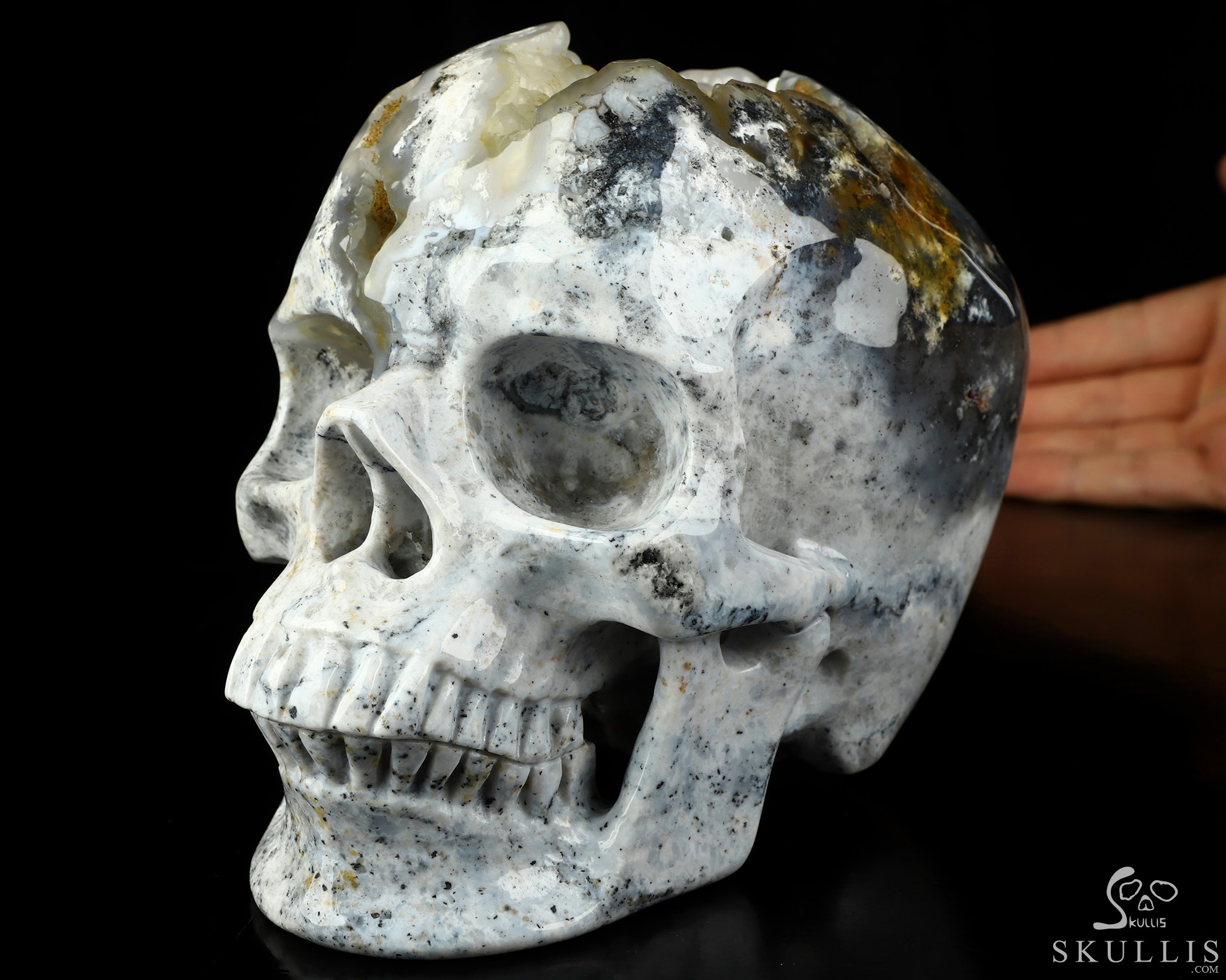 Lifesized 6.7" Flower Agate Hand Carved Crystal Skull, Super Realistic, Crystal Healing Lifesized 6.7" Flower Agate Hand Carved Crystal Skull, Super Realistic, Crystal Healing