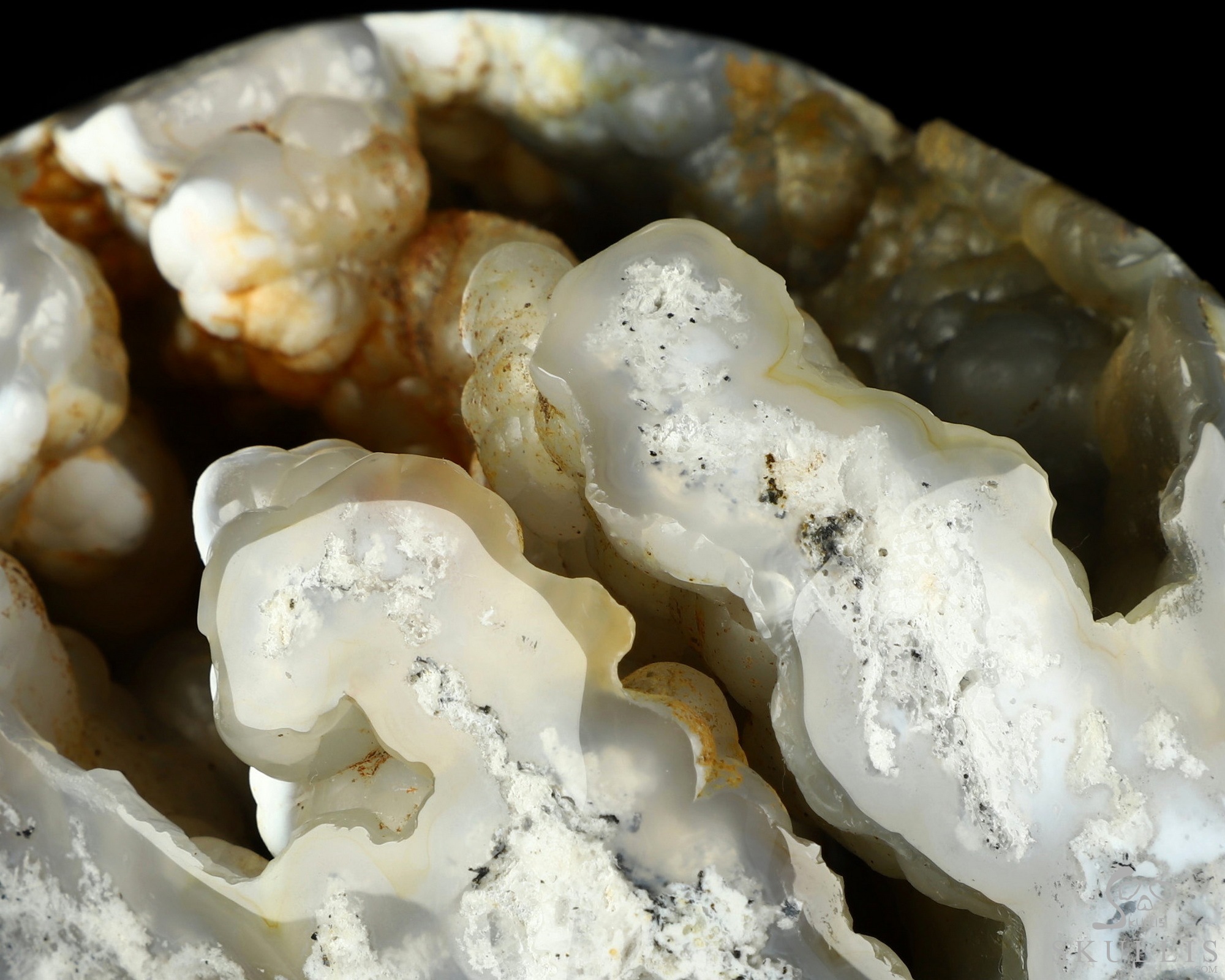 Lifesized 6.7" Flower Agate Hand Carved Crystal Skull, Super Realistic, Crystal Healing Lifesized 6.7" Flower Agate Hand Carved Crystal Skull, Super Realistic, Crystal Healing