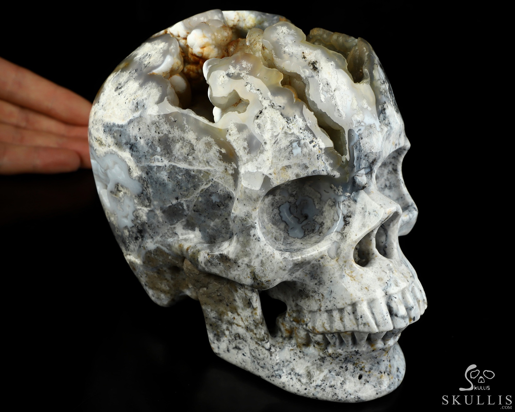 Lifesized 6.7" Flower Agate Hand Carved Crystal Skull, Super Realistic, Crystal Healing Lifesized 6.7" Flower Agate Hand Carved Crystal Skull, Super Realistic, Crystal Healing