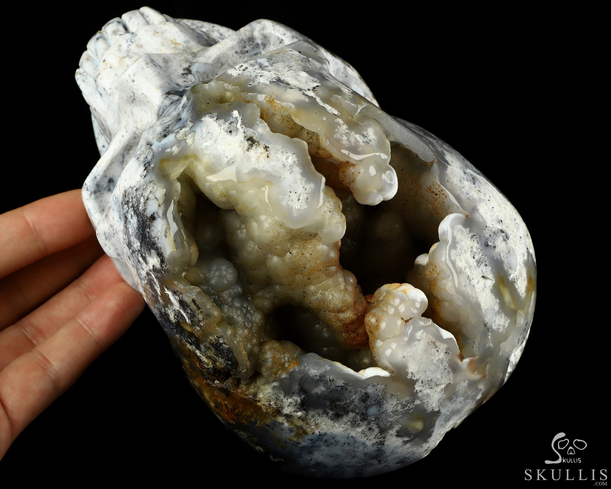 Lifesized 6.7" Flower Agate Hand Carved Crystal Skull, Super Realistic, Crystal Healing Lifesized 6.7" Flower Agate Hand Carved Crystal Skull, Super Realistic, Crystal Healing