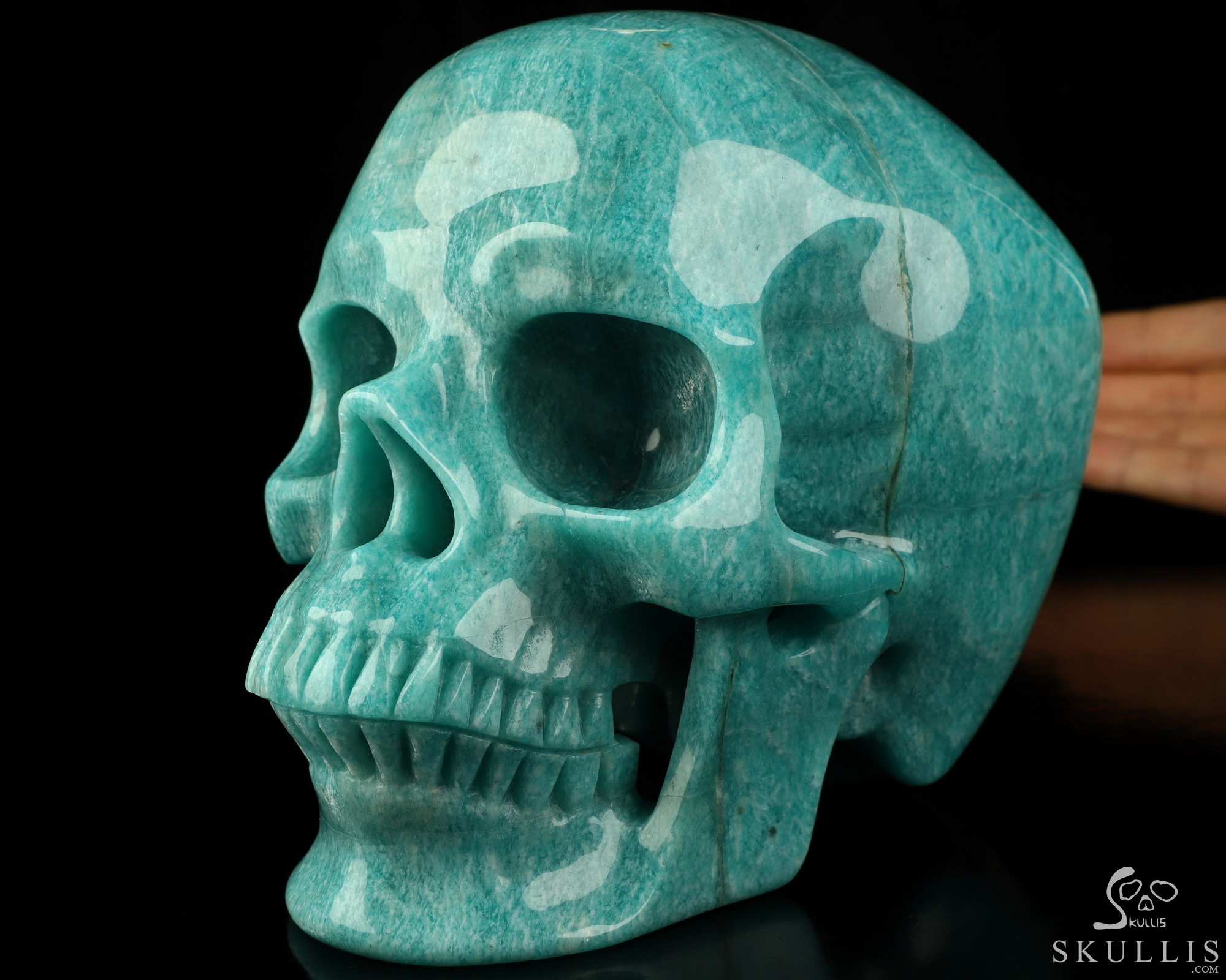 Lifesized 6.9" Amazonite Hand Carved Crystal Skull, Super Realistic, Crystal Healing Lifesized 6.9" Amazonite Hand Carved Crystal Skull, Super Realistic, Crystal Healing