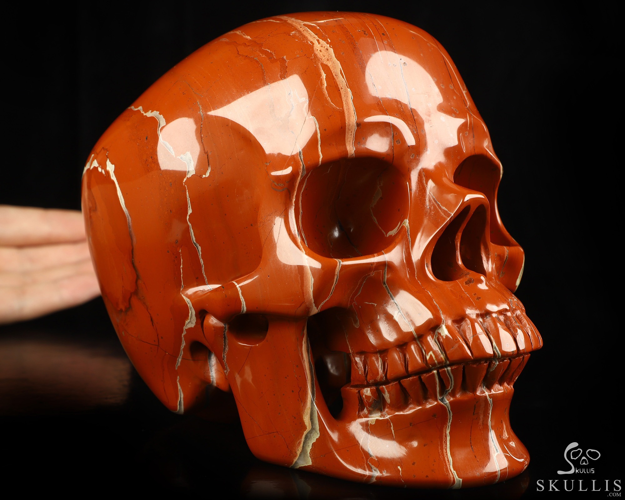 Lifesized 6.9" Red Jasper Hand Carved Crystal Skull, Super Realistic, Crystal Healing Lifesized 6.9" Red Jasper Hand Carved Crystal Skull, Super Realistic, Crystal Healing