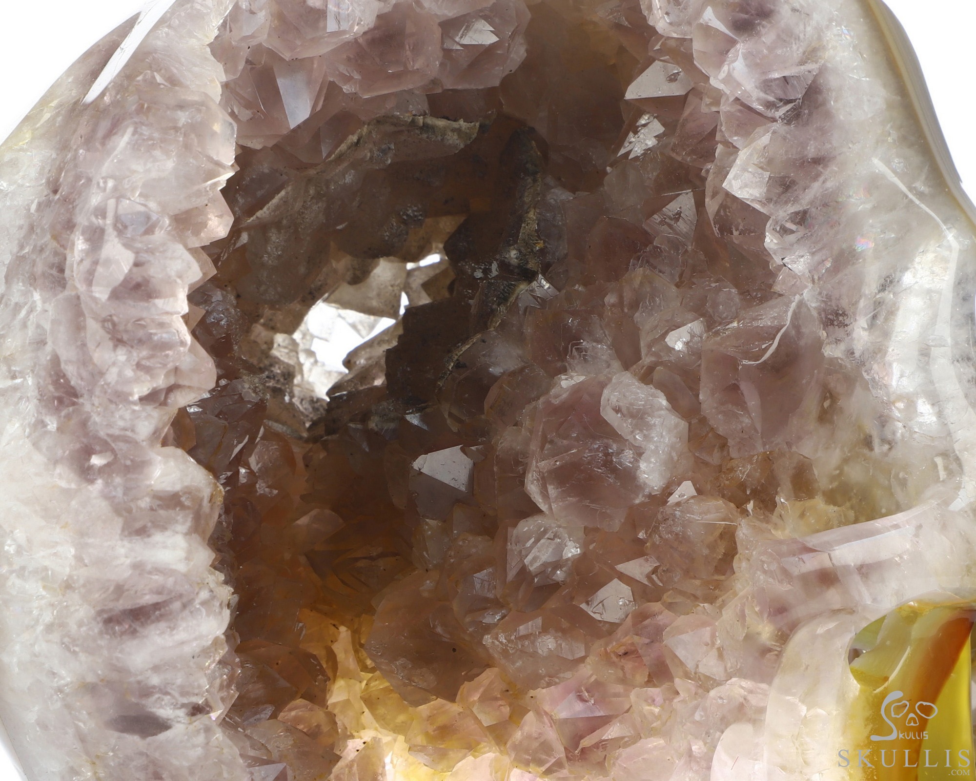 June 10, 2026 ACSAD (A Crystal Skull a Day) - Horus’s Horizon - 7.9" Premium Brazilian Agate Eye of Horus on Crystal Skull Fine Art Sculpture, Crystal Healing June 10, 2026 ACSAD (A Crystal Skull a Day) - Horus’s Horizon - 7.9" Premium Brazilian Agate Eye of Horus on Crystal Skull Fine Art Sculpture, Crystal Healing