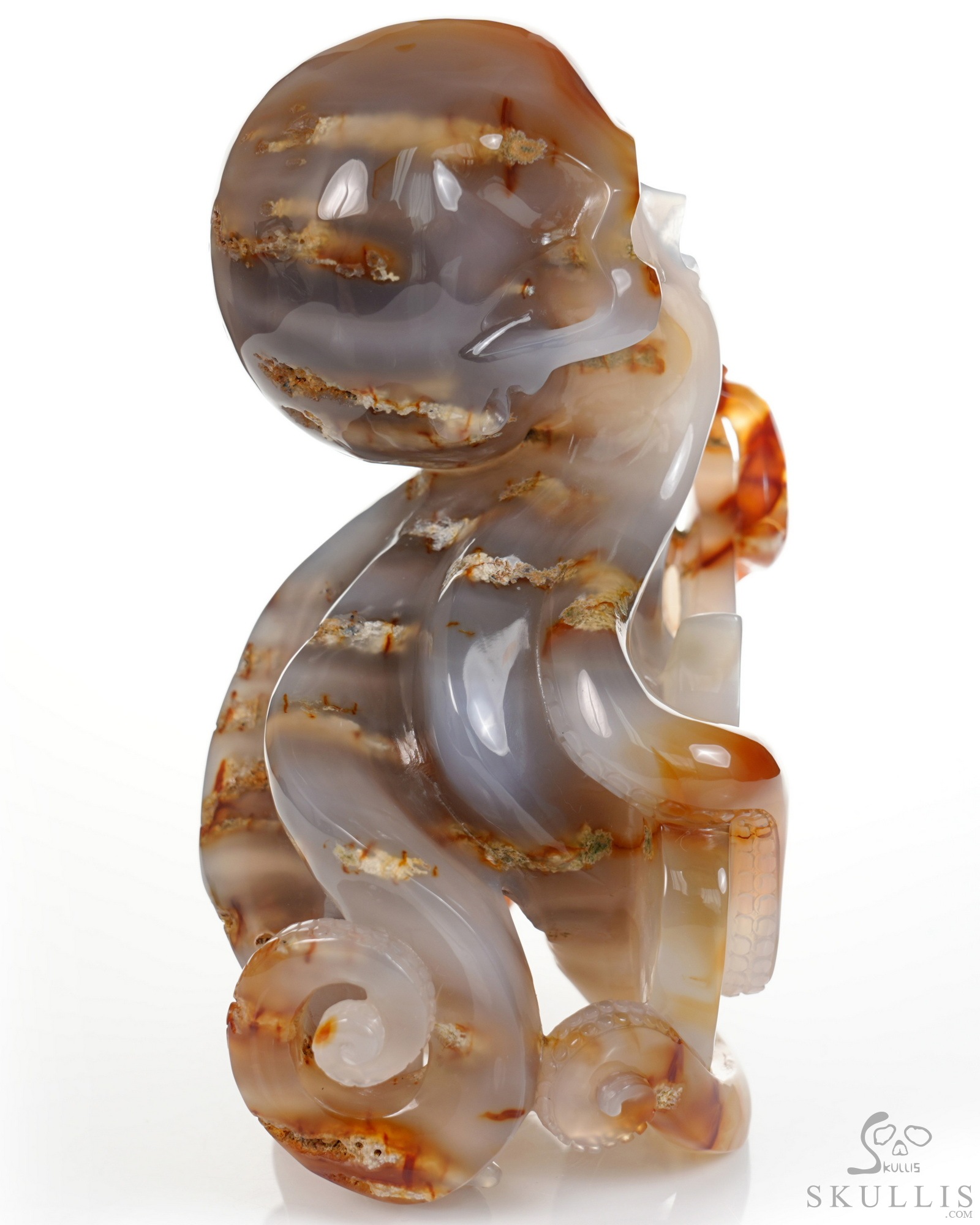 June 1, 2026 ACSAD (A Crystal Skull a Day) - Ocean Octave - Carnelian Carved Octopus Skull Guitar Sculpture June 1, 2026 ACSAD (A Crystal Skull a Day) - Ocean Octave - Carnelian Carved Octopus Skull Guitar Sculpture