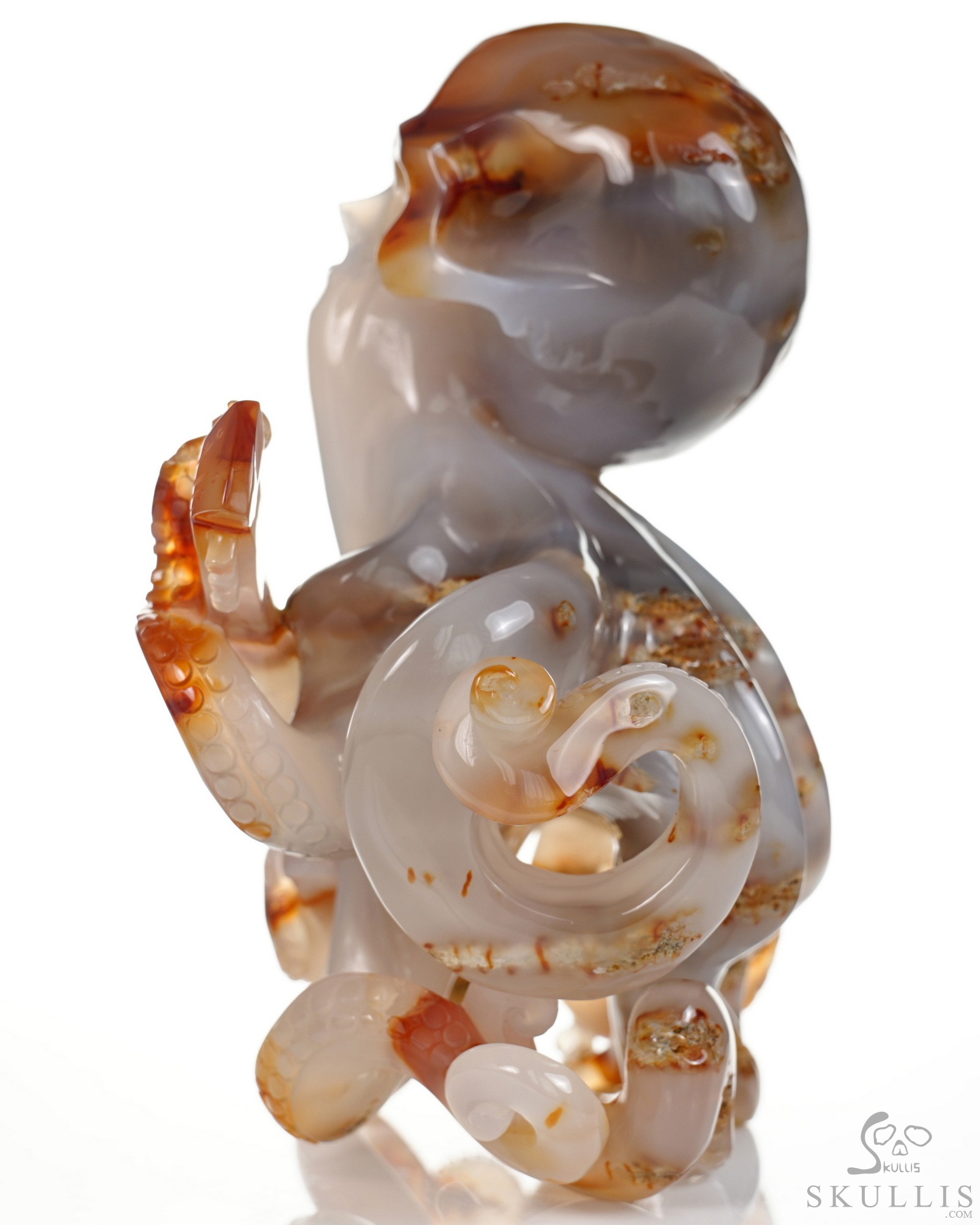 June 1, 2026 ACSAD (A Crystal Skull a Day) - Ocean Octave - Carnelian Carved Octopus Skull Guitar Sculpture June 1, 2026 ACSAD (A Crystal Skull a Day) - Ocean Octave - Carnelian Carved Octopus Skull Guitar Sculpture