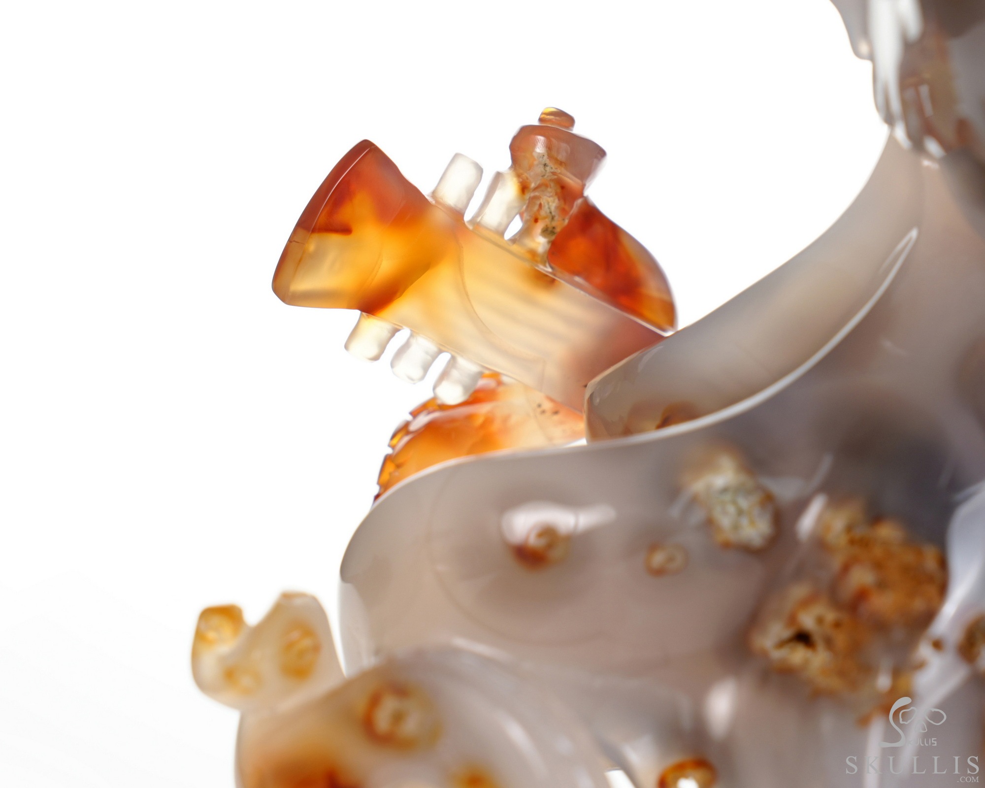 June 1, 2026 ACSAD (A Crystal Skull a Day) - Ocean Octave - Carnelian Carved Octopus Skull Guitar Sculpture June 1, 2026 ACSAD (A Crystal Skull a Day) - Ocean Octave - Carnelian Carved Octopus Skull Guitar Sculpture