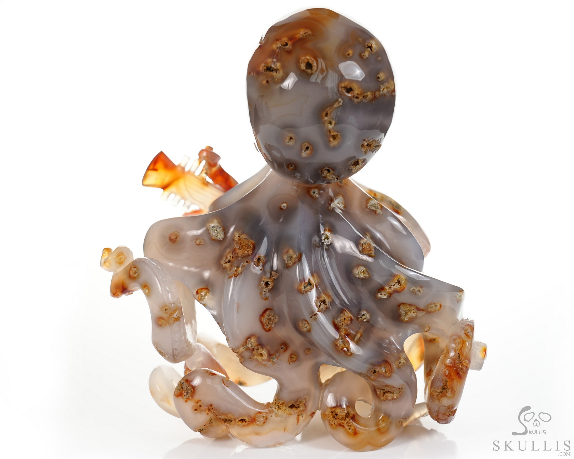 June 1, 2026 ACSAD (A Crystal Skull a Day) - Ocean Octave - Carnelian Carved Octopus Skull Guitar Sculpture June 1, 2026 ACSAD (A Crystal Skull a Day) - Ocean Octave - Carnelian Carved Octopus Skull Guitar Sculpture