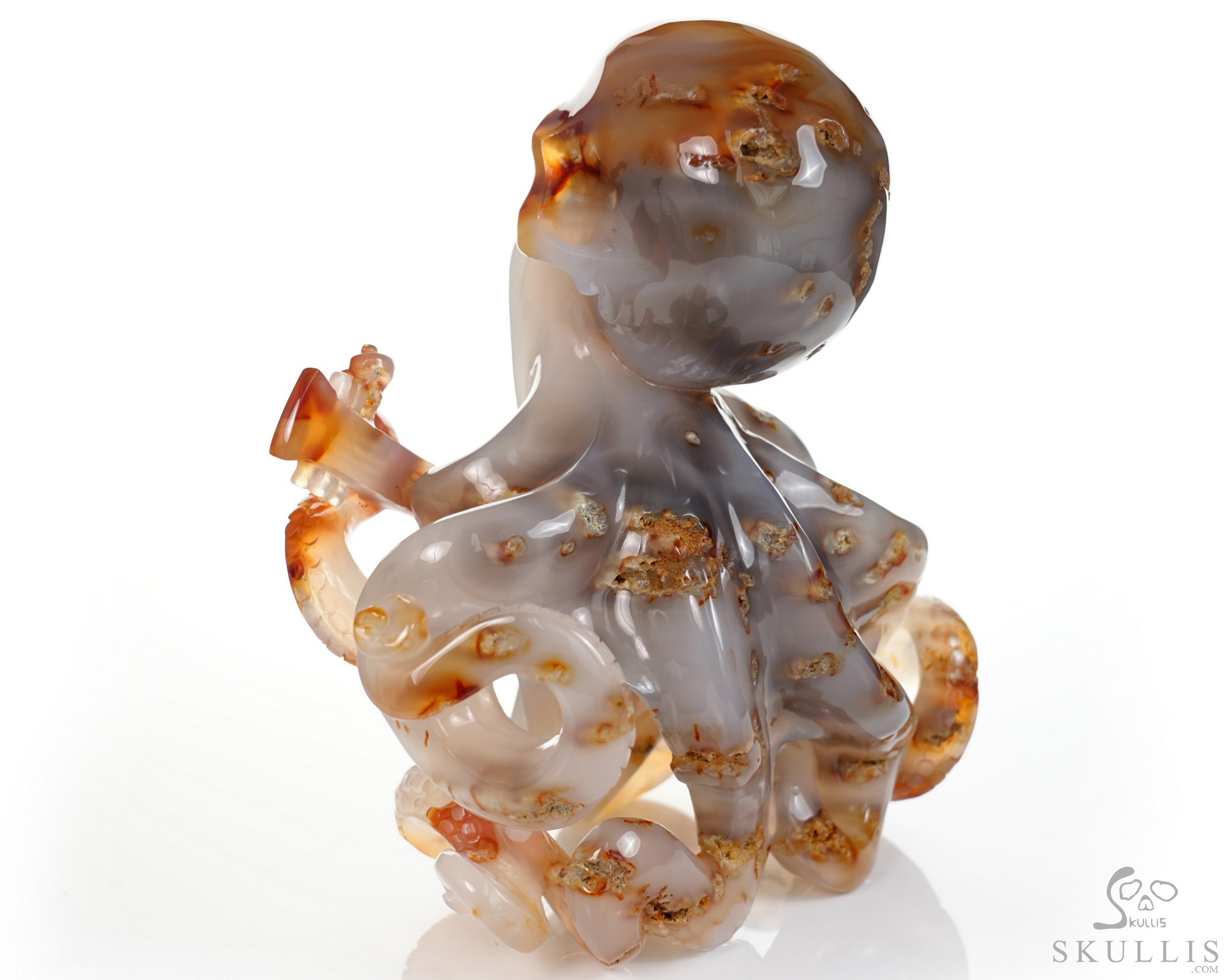 June 1, 2026 ACSAD (A Crystal Skull a Day) - Ocean Octave - Carnelian Carved Octopus Skull Guitar Sculpture June 1, 2026 ACSAD (A Crystal Skull a Day) - Ocean Octave - Carnelian Carved Octopus Skull Guitar Sculpture