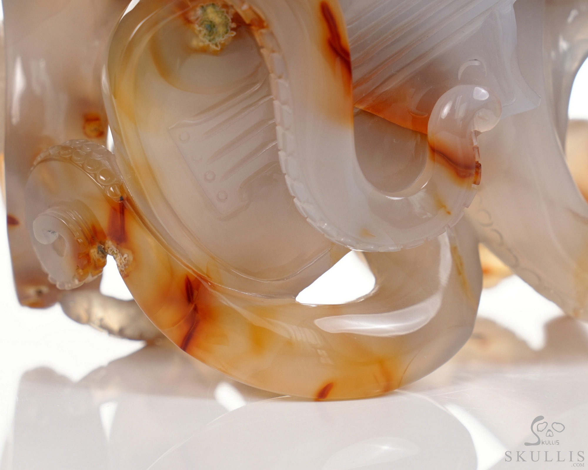 June 1, 2026 ACSAD (A Crystal Skull a Day) - Ocean Octave - Carnelian Carved Octopus Skull Guitar Sculpture June 1, 2026 ACSAD (A Crystal Skull a Day) - Ocean Octave - Carnelian Carved Octopus Skull Guitar Sculpture