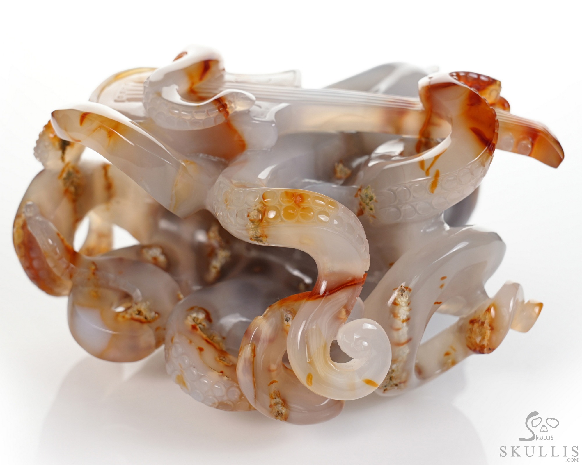 June 1, 2026 ACSAD (A Crystal Skull a Day) - Ocean Octave - Carnelian Carved Octopus Skull Guitar Sculpture June 1, 2026 ACSAD (A Crystal Skull a Day) - Ocean Octave - Carnelian Carved Octopus Skull Guitar Sculpture