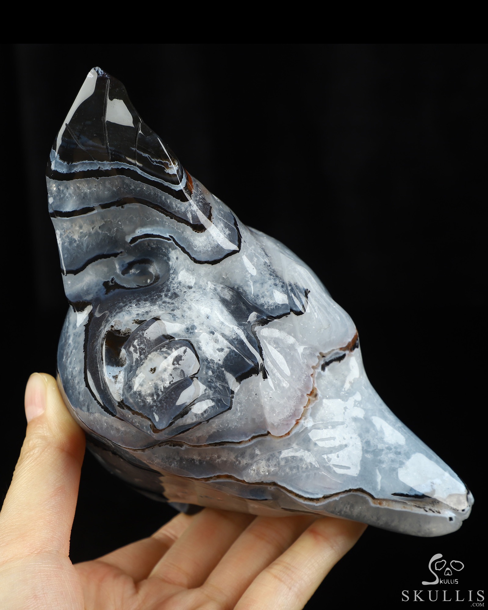 5.1" Black Zebra Agate Hand Carved Crystal Fox Head Fine Art Sculpture, Crystal Healing 5.1" Black Zebra Agate Hand Carved Crystal Fox Head Fine Art Sculpture, Crystal Healing