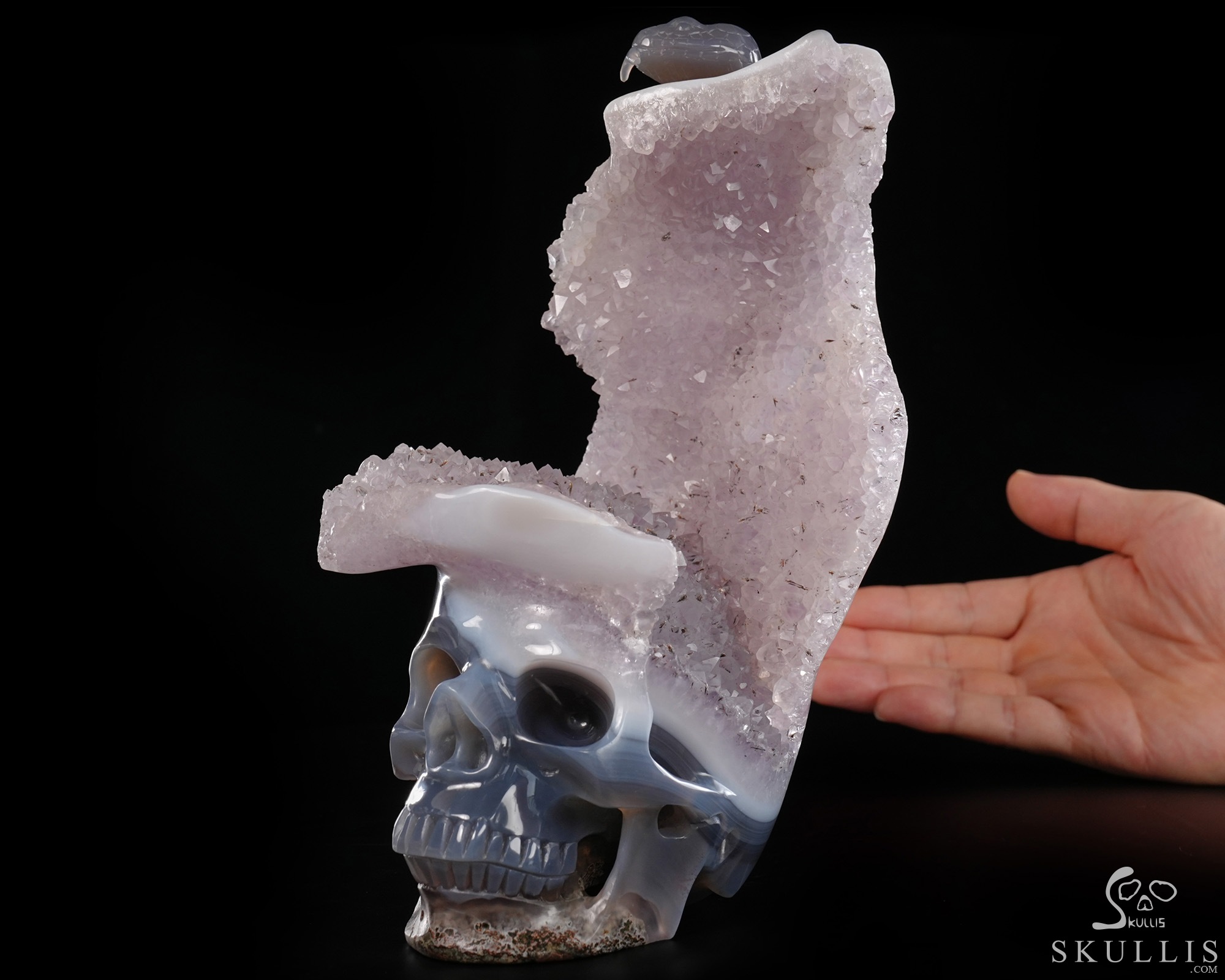 June 14, 2026 ACSAD (A Crystal Skull a Day) - The Violet Eclipse - 8.4" Carved Amethyst Geode Agate Crystal Skull with Snake Sculpture, Crystal Healing June 14, 2026 ACSAD (A Crystal Skull a Day) - The Violet Eclipse - 8.4" Carved Amethyst Geode Agate Crystal Skull with Snake Sculpture, Crystal Healing