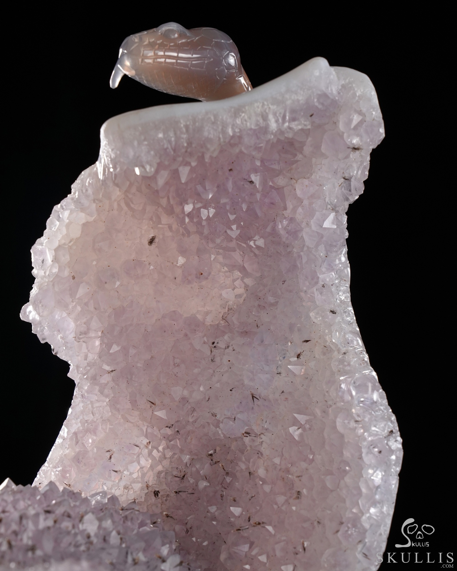 June 14, 2026 ACSAD (A Crystal Skull a Day) - The Violet Eclipse - 8.4" Carved Amethyst Geode Agate Crystal Skull with Snake Sculpture, Crystal Healing June 14, 2026 ACSAD (A Crystal Skull a Day) - The Violet Eclipse - 8.4" Carved Amethyst Geode Agate Crystal Skull with Snake Sculpture, Crystal Healing