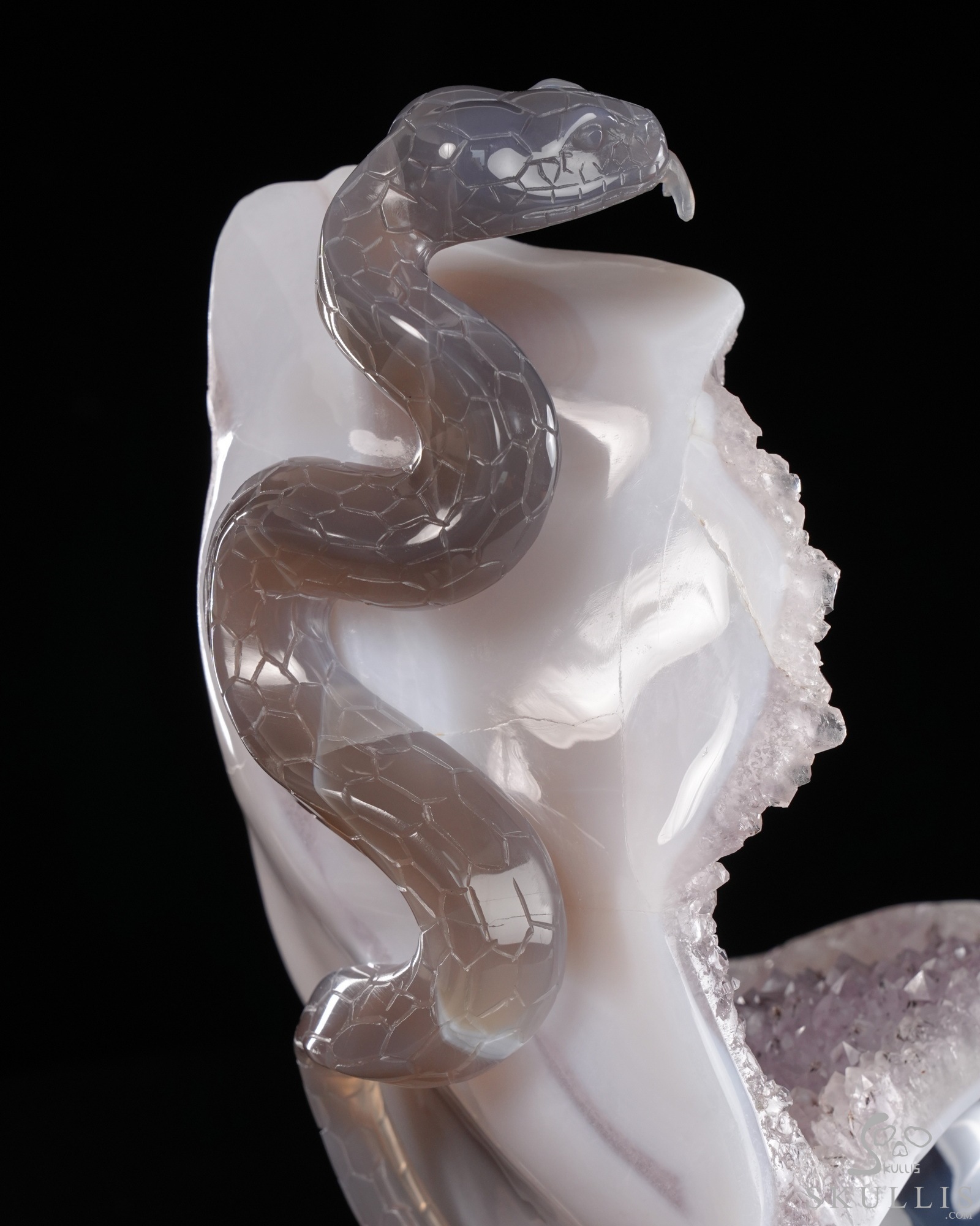 June 14, 2026 ACSAD (A Crystal Skull a Day) - The Violet Eclipse - 8.4" Carved Amethyst Geode Agate Crystal Skull with Snake Sculpture, Crystal Healing June 14, 2026 ACSAD (A Crystal Skull a Day) - The Violet Eclipse - 8.4" Carved Amethyst Geode Agate Crystal Skull with Snake Sculpture, Crystal Healing