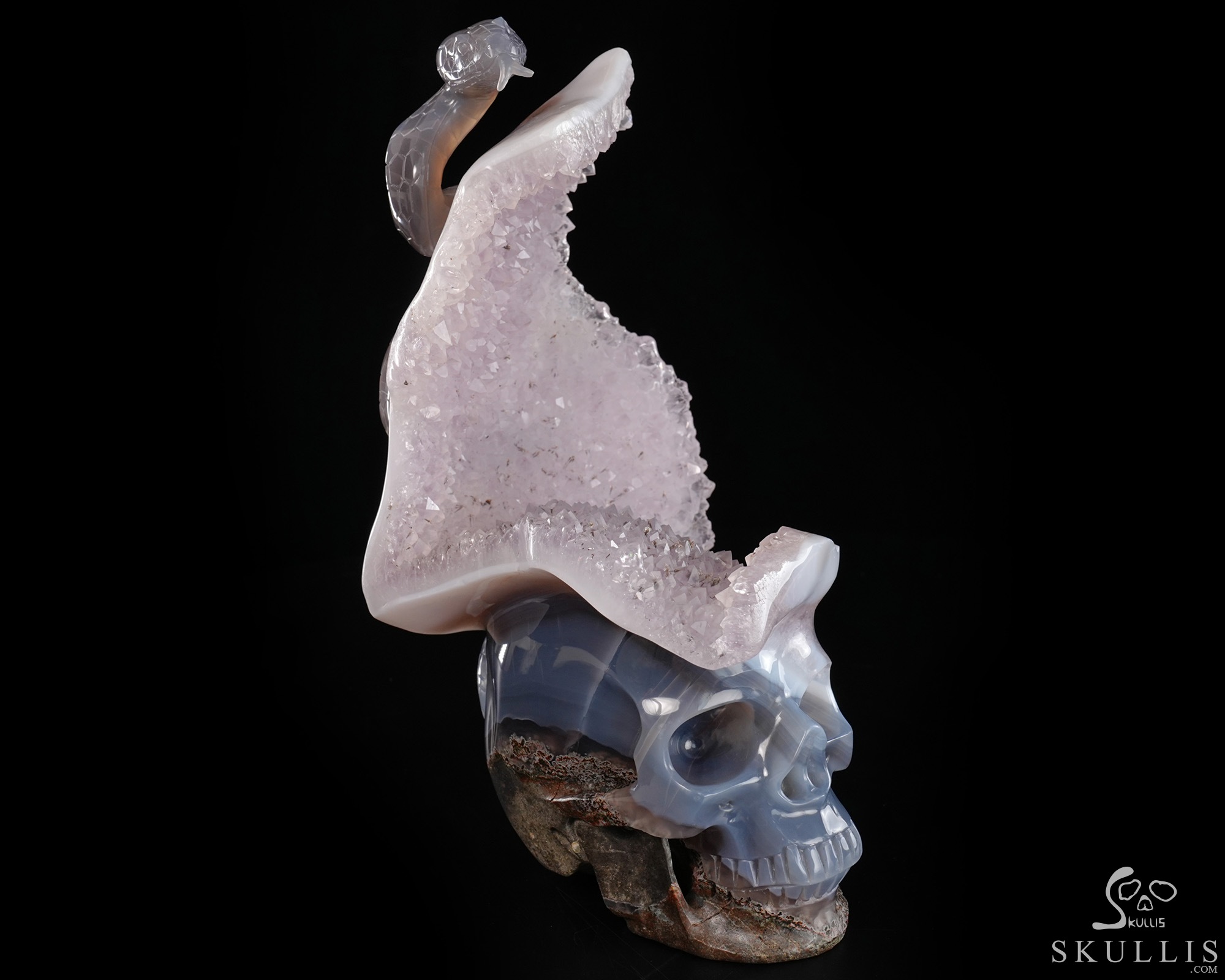 June 14, 2026 ACSAD (A Crystal Skull a Day) - The Violet Eclipse - 8.4" Carved Amethyst Geode Agate Crystal Skull with Snake Sculpture, Crystal Healing June 14, 2026 ACSAD (A Crystal Skull a Day) - The Violet Eclipse - 8.4" Carved Amethyst Geode Agate Crystal Skull with Snake Sculpture, Crystal Healing