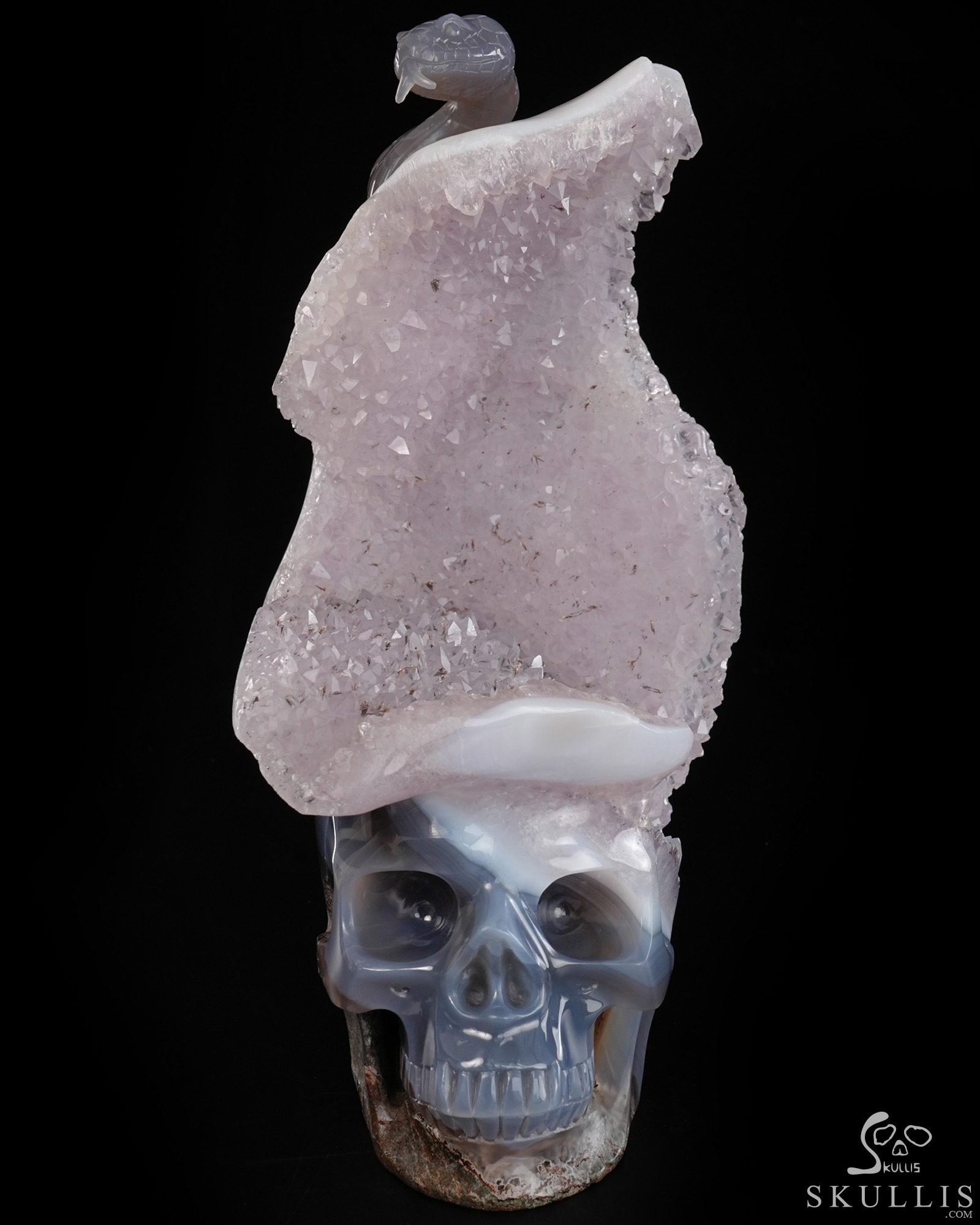 June 14, 2026 ACSAD (A Crystal Skull a Day) - The Violet Eclipse - 8.4" Carved Amethyst Geode Agate Crystal Skull with Snake Sculpture, Crystal Healing June 14, 2026 ACSAD (A Crystal Skull a Day) - The Violet Eclipse - 8.4" Carved Amethyst Geode Agate Crystal Skull with Snake Sculpture, Crystal Healing