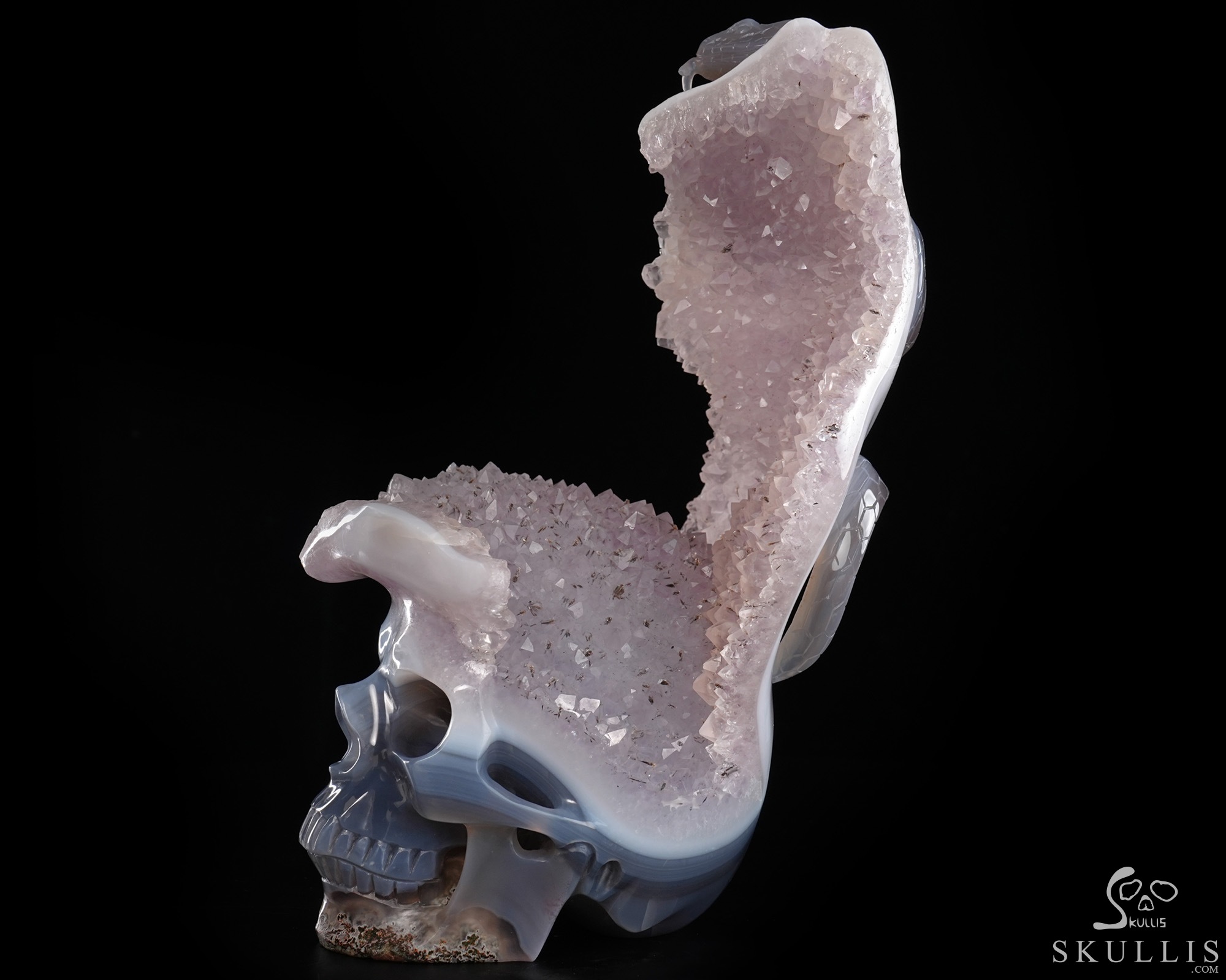 June 14, 2026 ACSAD (A Crystal Skull a Day) - The Violet Eclipse - 8.4" Carved Amethyst Geode Agate Crystal Skull with Snake Sculpture, Crystal Healing June 14, 2026 ACSAD (A Crystal Skull a Day) - The Violet Eclipse - 8.4" Carved Amethyst Geode Agate Crystal Skull with Snake Sculpture, Crystal Healing