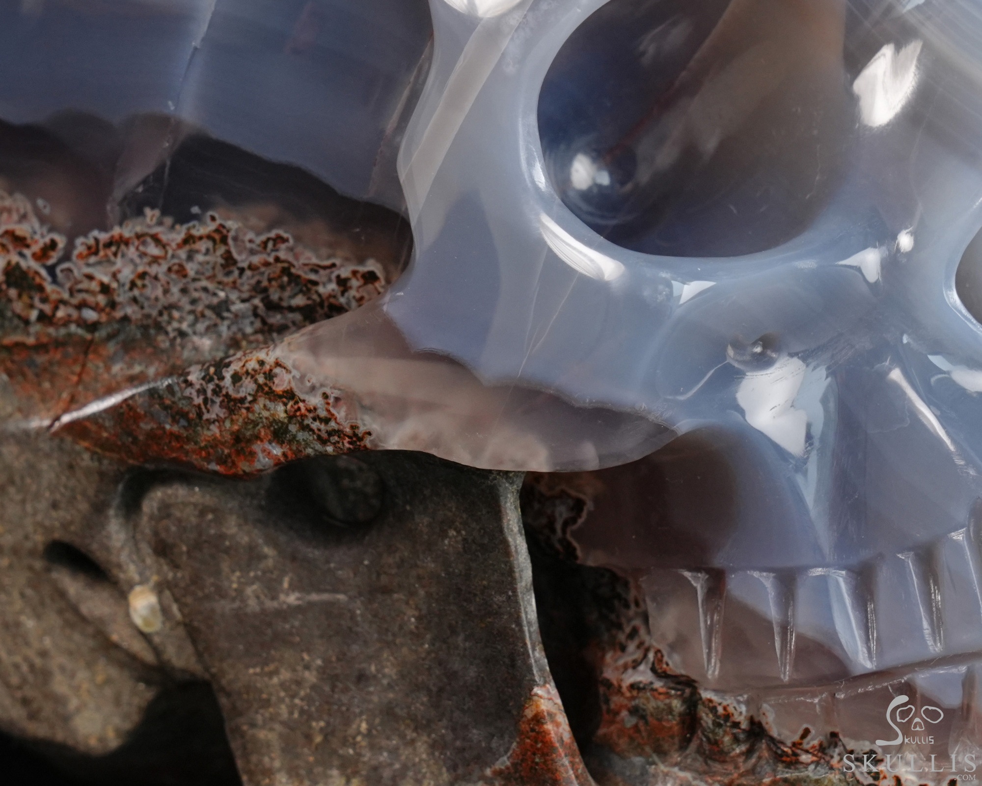 June 14, 2026 ACSAD (A Crystal Skull a Day) - The Violet Eclipse - 8.4" Carved Amethyst Geode Agate Crystal Skull with Snake Sculpture, Crystal Healing June 14, 2026 ACSAD (A Crystal Skull a Day) - The Violet Eclipse - 8.4" Carved Amethyst Geode Agate Crystal Skull with Snake Sculpture, Crystal Healing