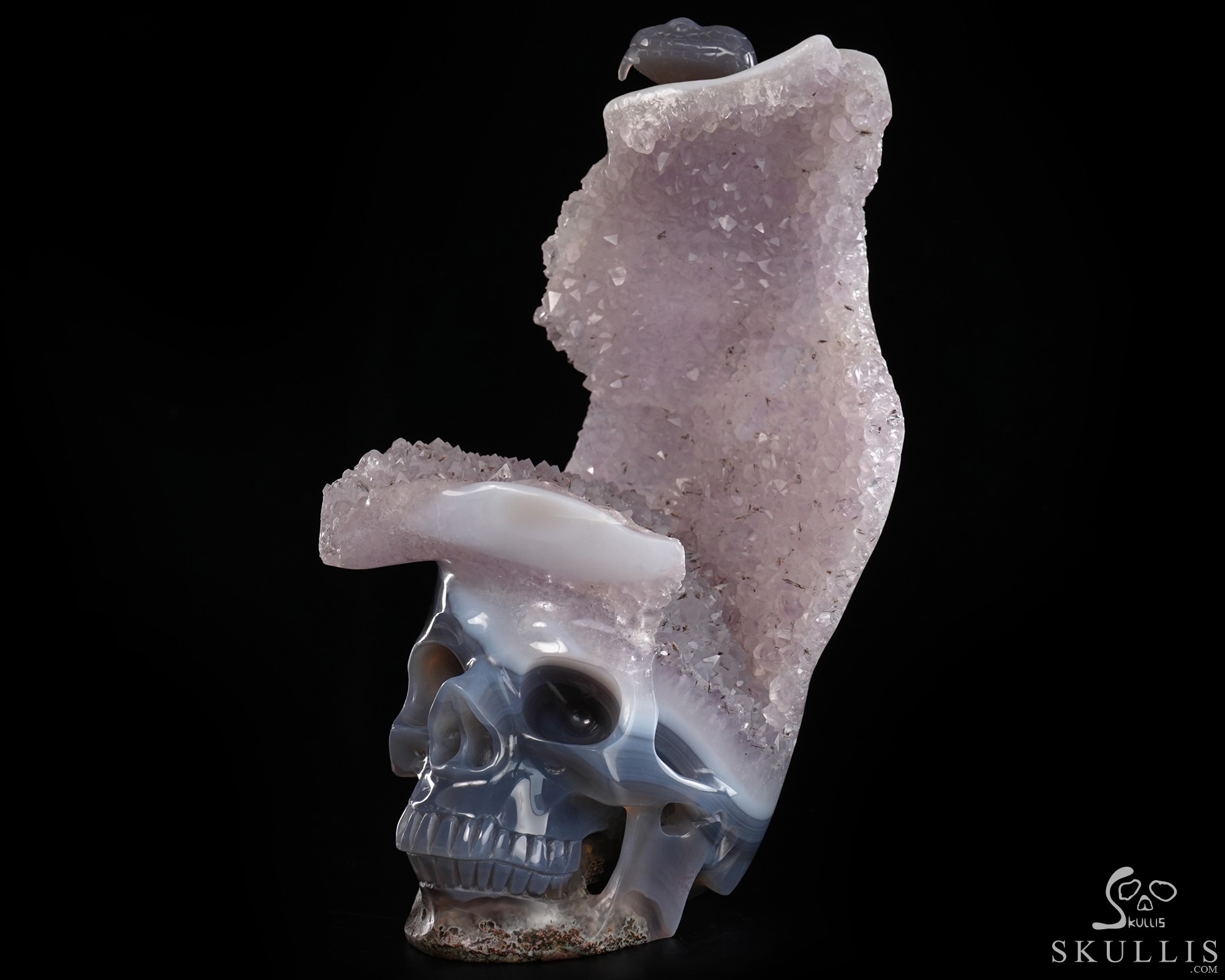 June 14, 2026 ACSAD (A Crystal Skull a Day) - The Violet Eclipse - 8.4" Carved Amethyst Geode Agate Crystal Skull with Snake Sculpture, Crystal Healing June 14, 2026 ACSAD (A Crystal Skull a Day) - The Violet Eclipse - 8.4" Carved Amethyst Geode Agate Crystal Skull with Snake Sculpture, Crystal Healing