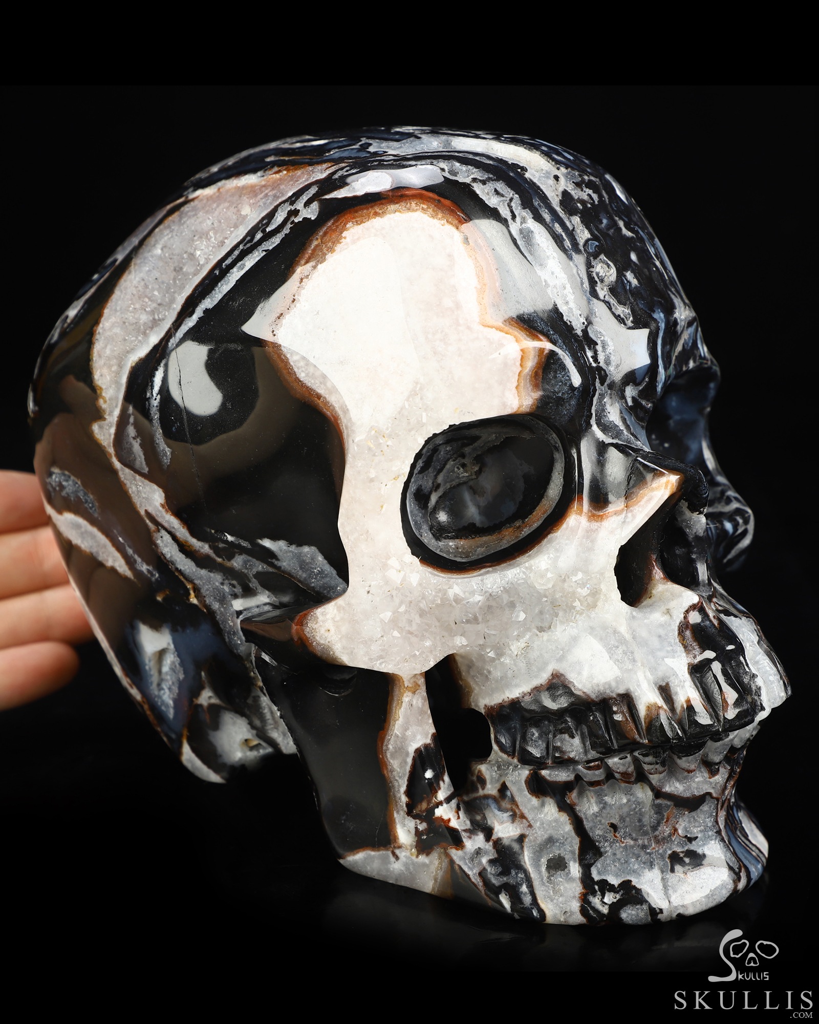 Lifesized 6.9" Black Zebra Agate Hand Carved Crystal Skull, Super Realistic, Crystal Healing Lifesized 6.9" Black Zebra Agate Hand Carved Crystal Skull, Super Realistic, Crystal Healing