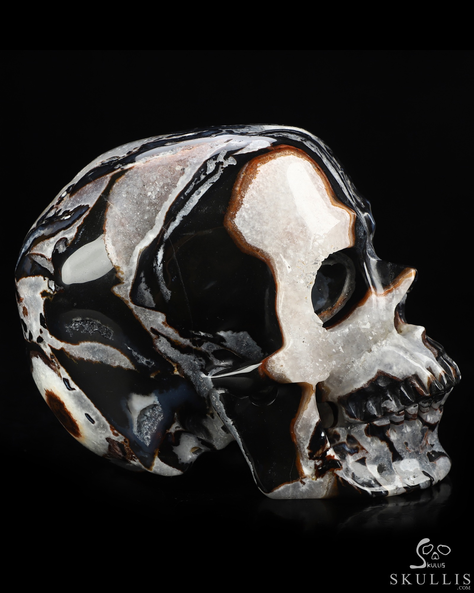 Lifesized 6.9" Black Zebra Agate Hand Carved Crystal Skull, Super Realistic, Crystal Healing Lifesized 6.9" Black Zebra Agate Hand Carved Crystal Skull, Super Realistic, Crystal Healing