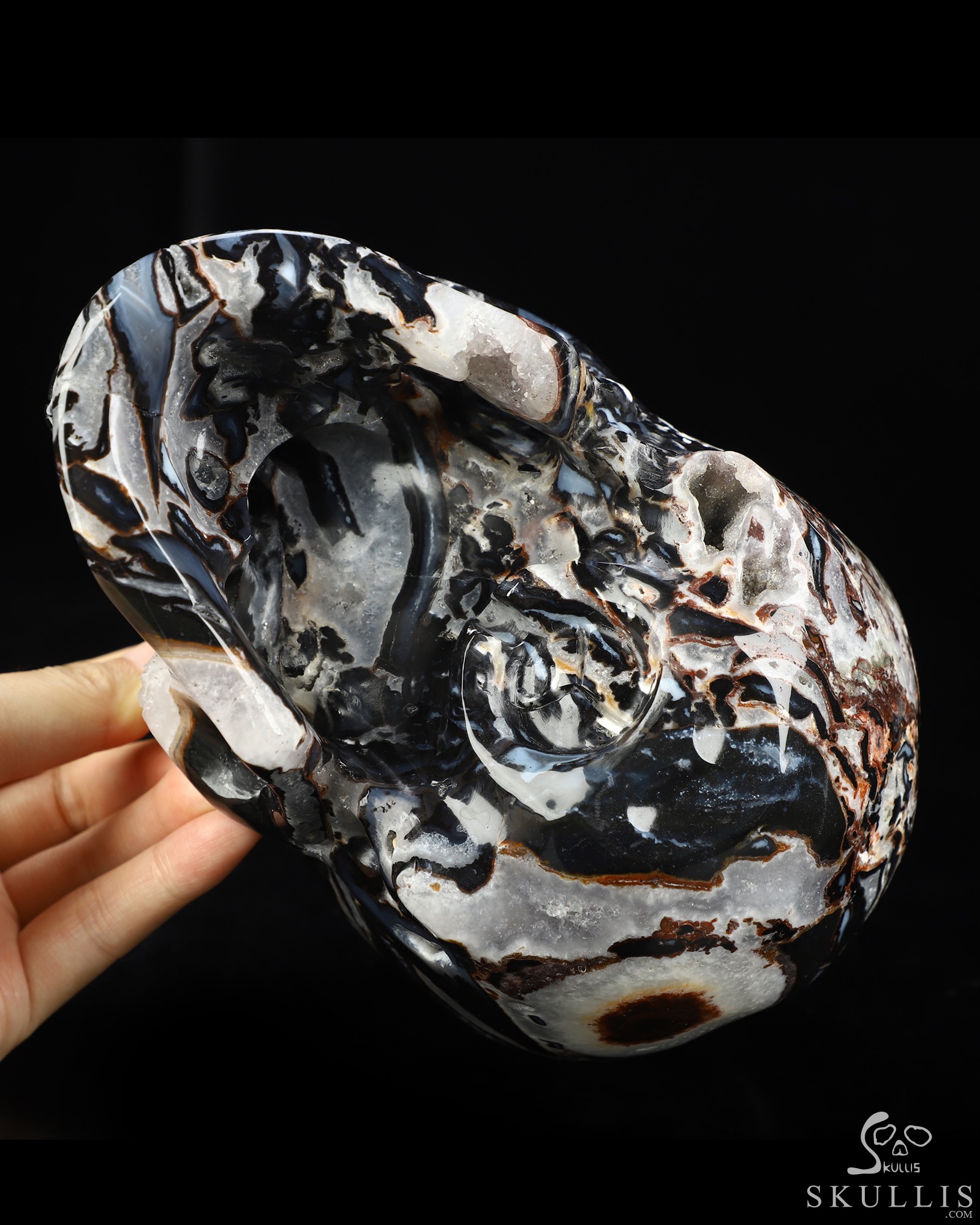 Lifesized 6.9" Black Zebra Agate Hand Carved Crystal Skull, Super Realistic, Crystal Healing Lifesized 6.9" Black Zebra Agate Hand Carved Crystal Skull, Super Realistic, Crystal Healing