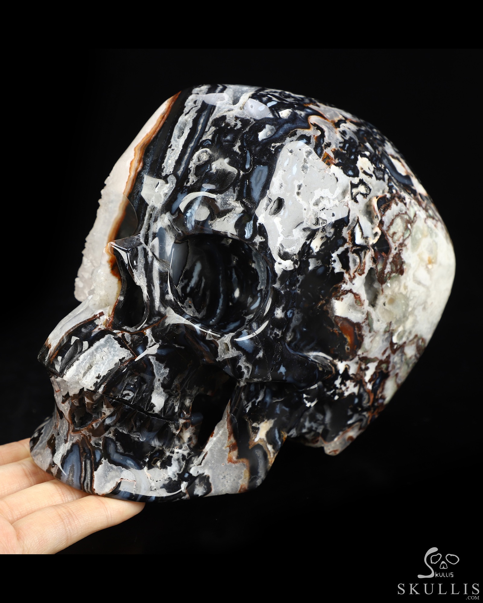 Lifesized 6.9" Black Zebra Agate Hand Carved Crystal Skull, Super Realistic, Crystal Healing Lifesized 6.9" Black Zebra Agate Hand Carved Crystal Skull, Super Realistic, Crystal Healing