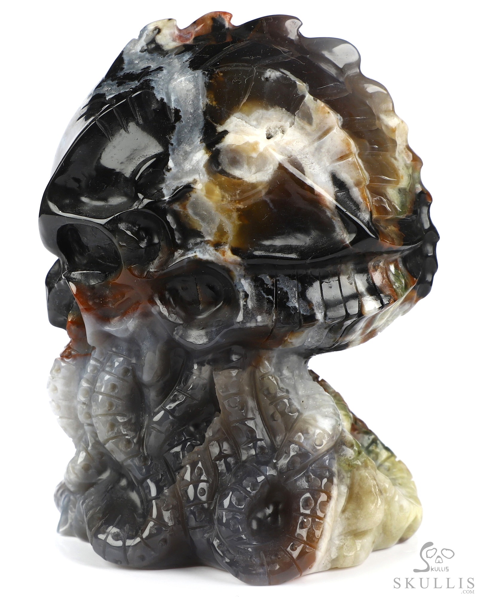 4.1" Black Zebra Agate Hand Carved Crystal Octopus Sculpture, Crystal Healing 4.1" Black Zebra Agate Hand Carved Crystal Octopus Sculpture, Crystal Healing