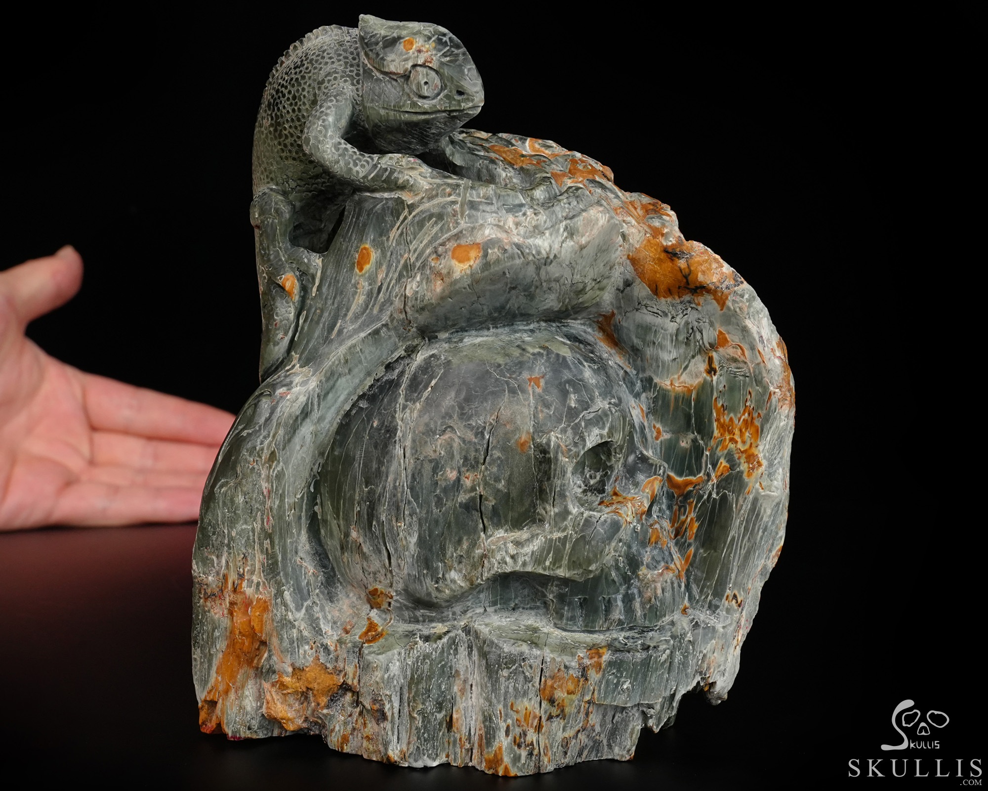 Until the Shadows Merge - 5.7" Carved Rare Hawk’s Eye Stone Chameleon and Skull Fine Art Sculpture, Crystal Healing Until the Shadows Merge - 5.7" Carved Rare Hawk’s Eye Stone Chameleon and Skull Fine Art Sculpture, Crystal Healing