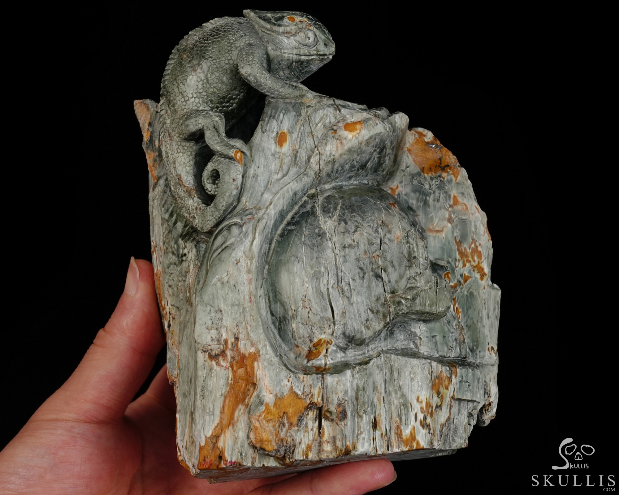 Until the Shadows Merge - 5.7" Carved Rare Hawk’s Eye Stone Chameleon and Skull Fine Art Sculpture, Crystal Healing Until the Shadows Merge - 5.7" Carved Rare Hawk’s Eye Stone Chameleon and Skull Fine Art Sculpture, Crystal Healing