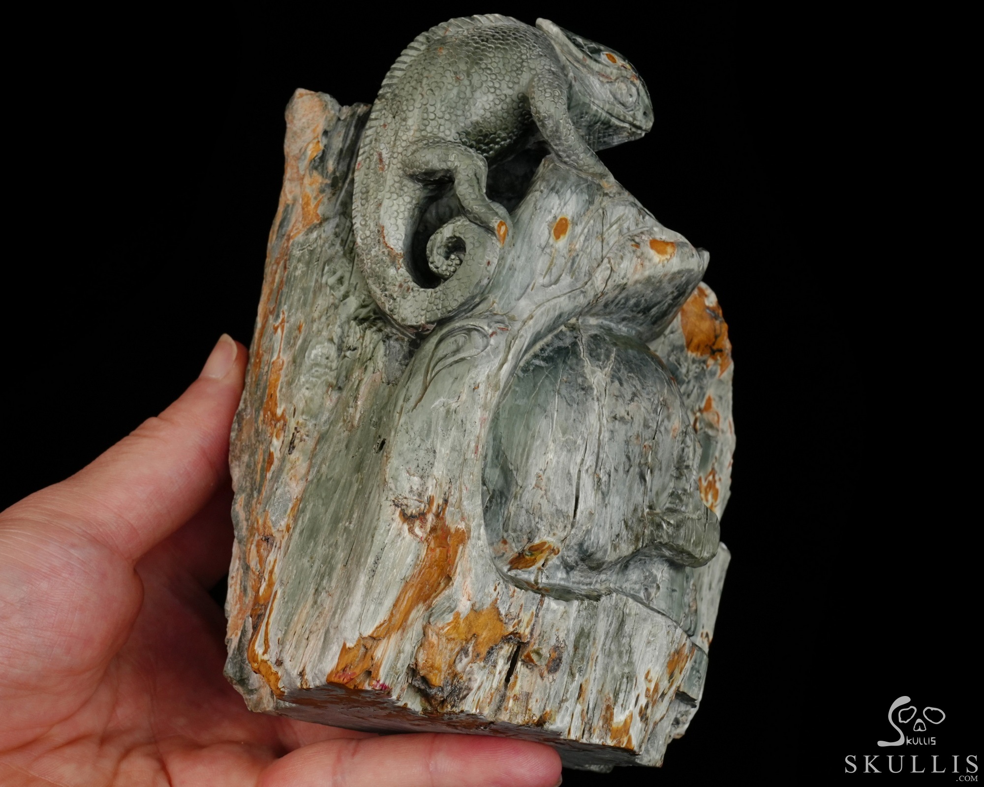 Until the Shadows Merge - 5.7" Carved Rare Hawk’s Eye Stone Chameleon and Skull Fine Art Sculpture, Crystal Healing Until the Shadows Merge - 5.7" Carved Rare Hawk’s Eye Stone Chameleon and Skull Fine Art Sculpture, Crystal Healing