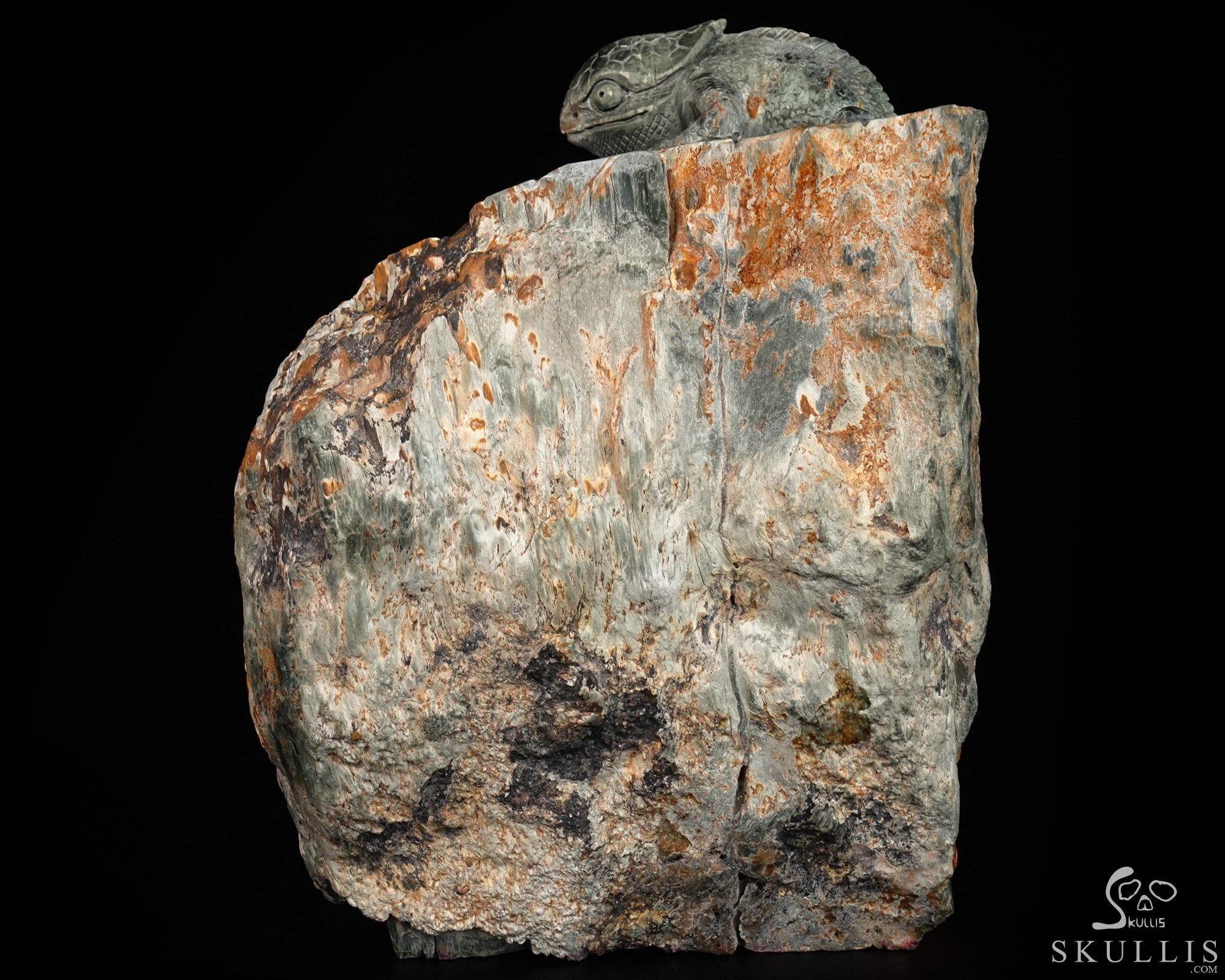 Until the Shadows Merge - 5.7" Carved Rare Hawk’s Eye Stone Chameleon and Skull Fine Art Sculpture, Crystal Healing Until the Shadows Merge - 5.7" Carved Rare Hawk’s Eye Stone Chameleon and Skull Fine Art Sculpture, Crystal Healing