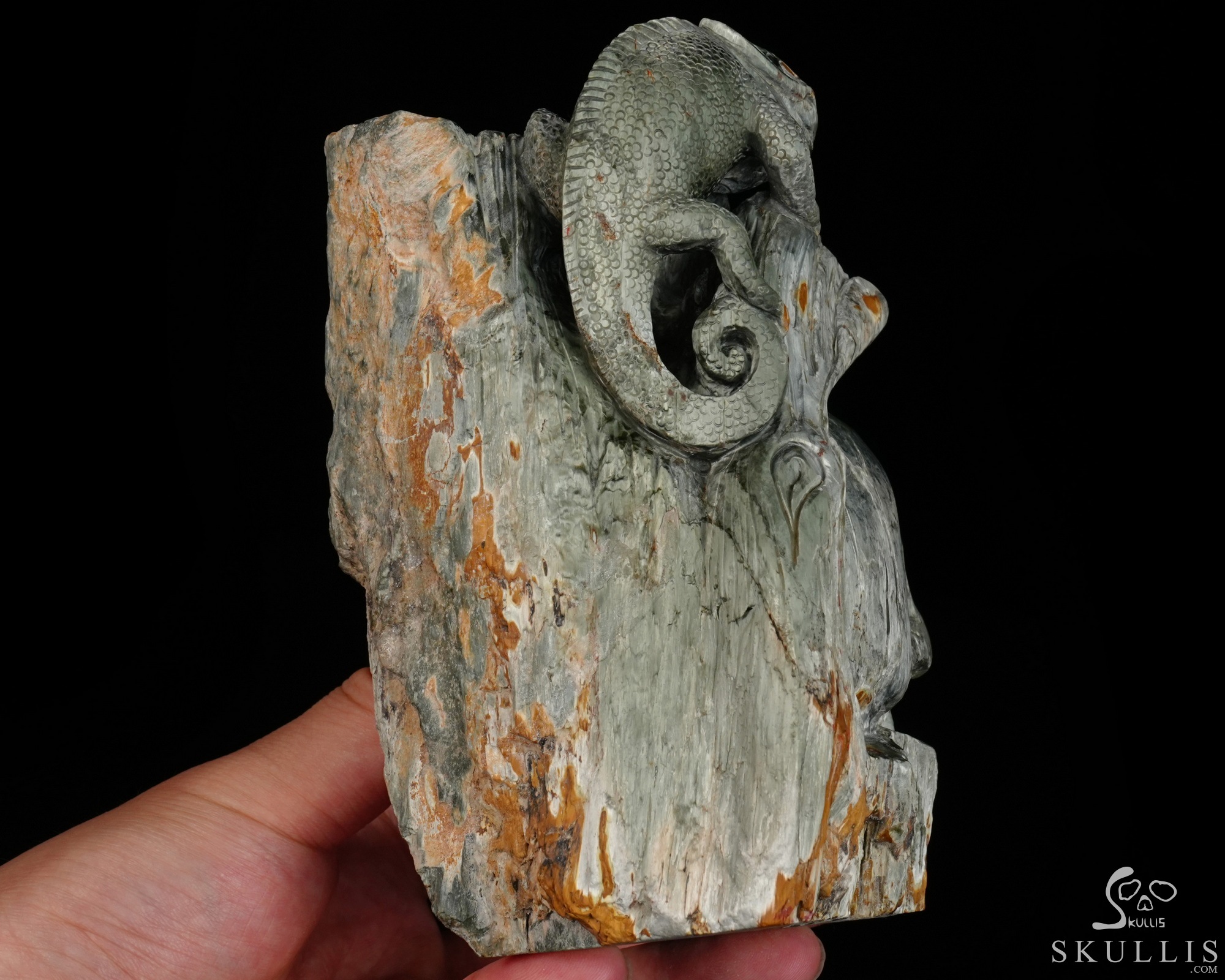 Until the Shadows Merge - 5.7" Carved Rare Hawk’s Eye Stone Chameleon and Skull Fine Art Sculpture, Crystal Healing Until the Shadows Merge - 5.7" Carved Rare Hawk’s Eye Stone Chameleon and Skull Fine Art Sculpture, Crystal Healing