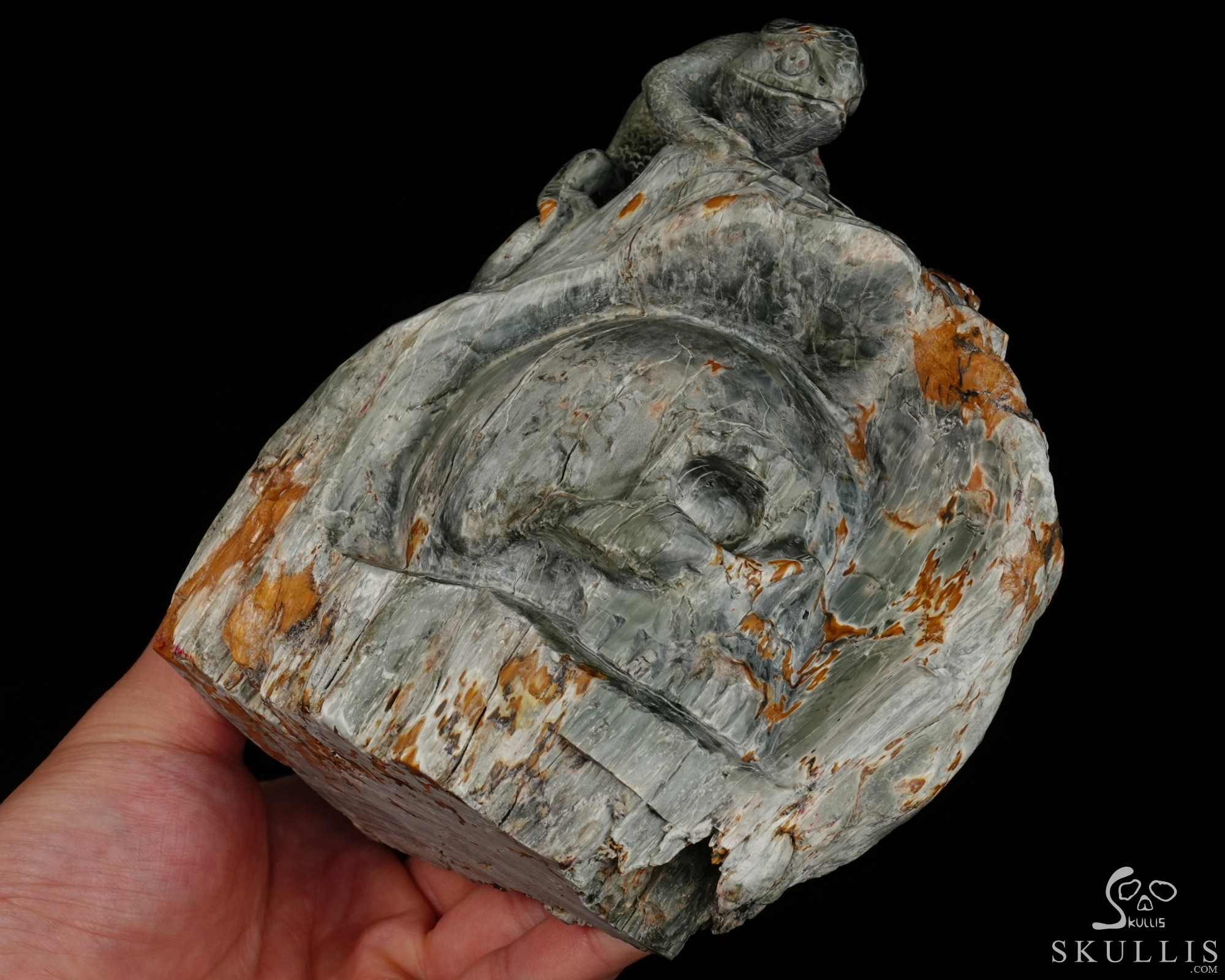 Until the Shadows Merge - 5.7" Carved Rare Hawk’s Eye Stone Chameleon and Skull Fine Art Sculpture, Crystal Healing Until the Shadows Merge - 5.7" Carved Rare Hawk’s Eye Stone Chameleon and Skull Fine Art Sculpture, Crystal Healing