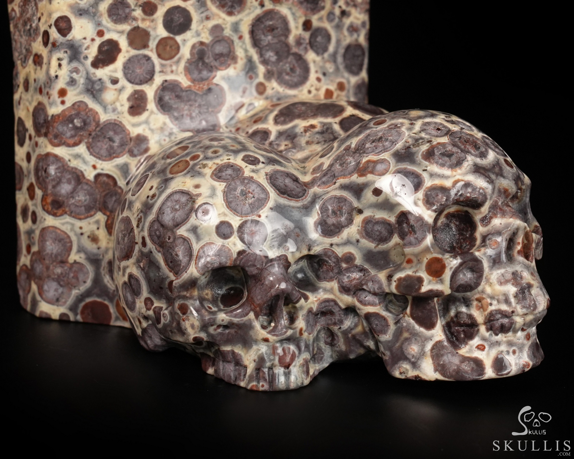 June 16, 2026 ACSAD (A Crystal Skull a Day) - Between Power and Peace - 7.4" Carved Asteroid Jasper Panther with 3 Crystal Skulls Fine Art Sculpture, Crystal Healing June 16, 2026 ACSAD (A Crystal Skull a Day) - Between Power and Peace - 7.4" Carved Asteroid Jasper Panther with 3 Crystal Skulls Fine Art Sculpture, Crystal Healing