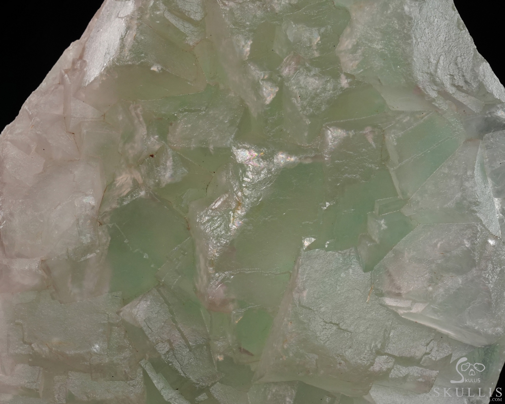 June 22, 2026 ACSAD (A Crystal Skull a Day) - The Unworn Crest - 6.2" Carved Fluorite Indian Crystal Skull Fine Art Sculpture June 22, 2026 ACSAD (A Crystal Skull a Day) - The Unworn Crest - 6.2" Carved Fluorite Indian Crystal Skull Fine Art Sculpture
