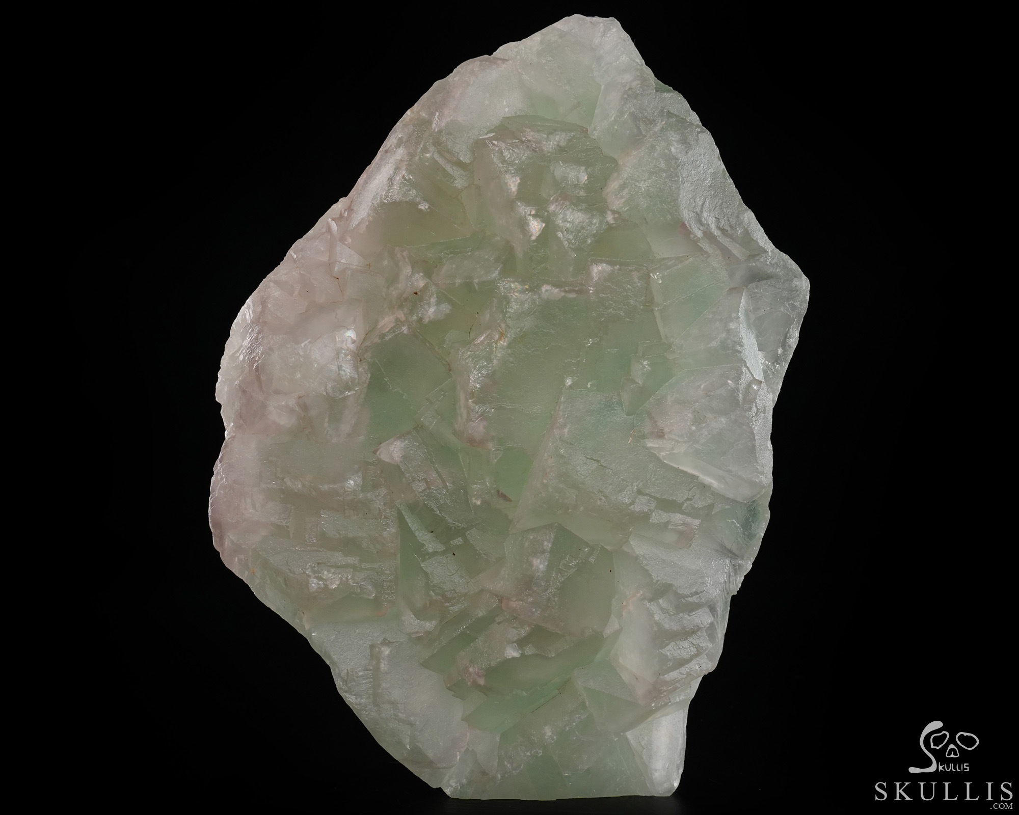 June 22, 2026 ACSAD (A Crystal Skull a Day) - The Unworn Crest - 6.2" Carved Fluorite Indian Crystal Skull Fine Art Sculpture June 22, 2026 ACSAD (A Crystal Skull a Day) - The Unworn Crest - 6.2" Carved Fluorite Indian Crystal Skull Fine Art Sculpture