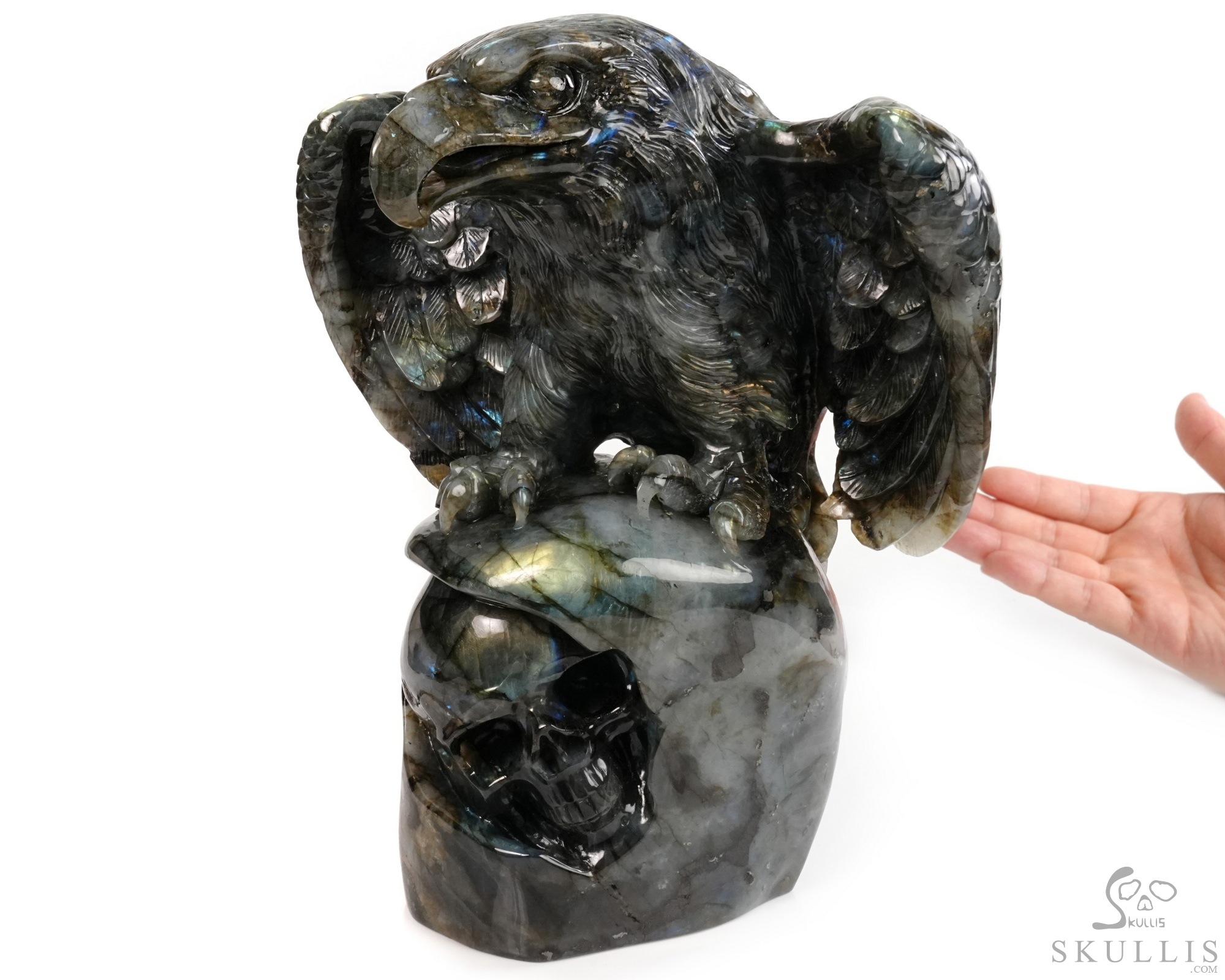 Against the Gathering Dark - 9.6" Carved Labradorite Eagle And Crystal Skull Fine Art Sculpture, Crystal Healing Against the Gathering Dark - 9.6" Carved Labradorite Eagle And Crystal Skull Fine Art Sculpture, Crystal Healing