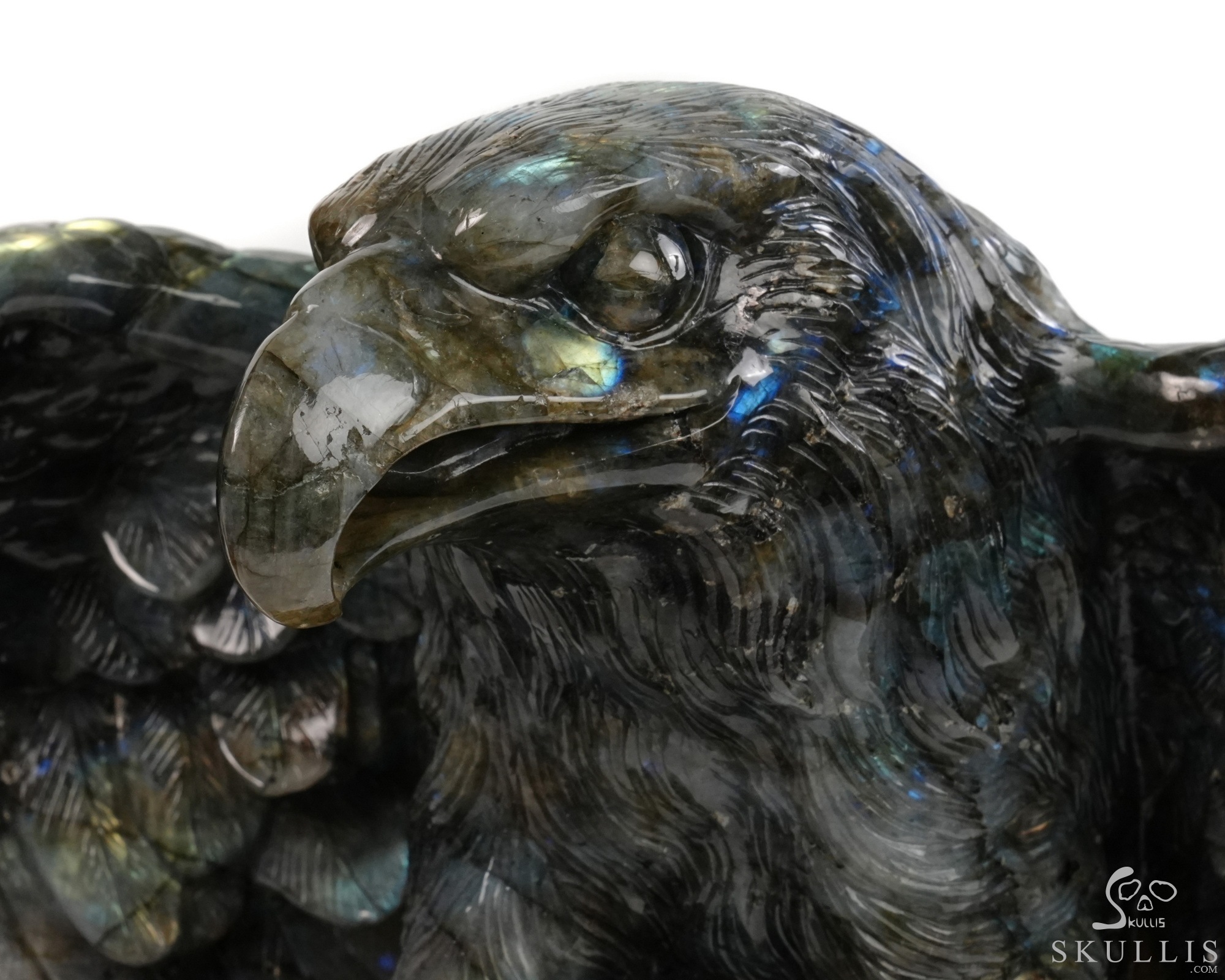 Against the Gathering Dark - 9.6" Carved Labradorite Eagle And Crystal Skull Fine Art Sculpture, Crystal Healing Against the Gathering Dark - 9.6" Carved Labradorite Eagle And Crystal Skull Fine Art Sculpture, Crystal Healing