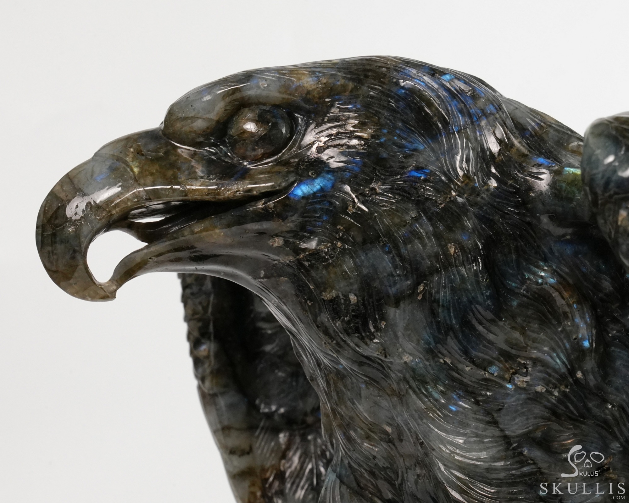 Against the Gathering Dark - 9.6" Carved Labradorite Eagle And Crystal Skull Fine Art Sculpture, Crystal Healing Against the Gathering Dark - 9.6" Carved Labradorite Eagle And Crystal Skull Fine Art Sculpture, Crystal Healing