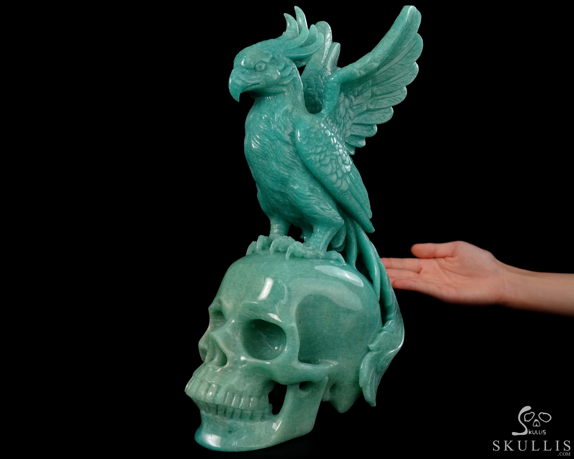 June 7, 2026 ACSAD (A Crystal Skull a Day) - The Unfading Wing - 10.0" Carved Madagascar Amazonite Phoenix on Crystal Skull Sculpture, Crystal Healing June 7, 2026 ACSAD (A Crystal Skull a Day) - The Unfading Wing - 10.0" Carved Madagascar Amazonite Phoenix on Crystal Skull Sculpture, Crystal Healing