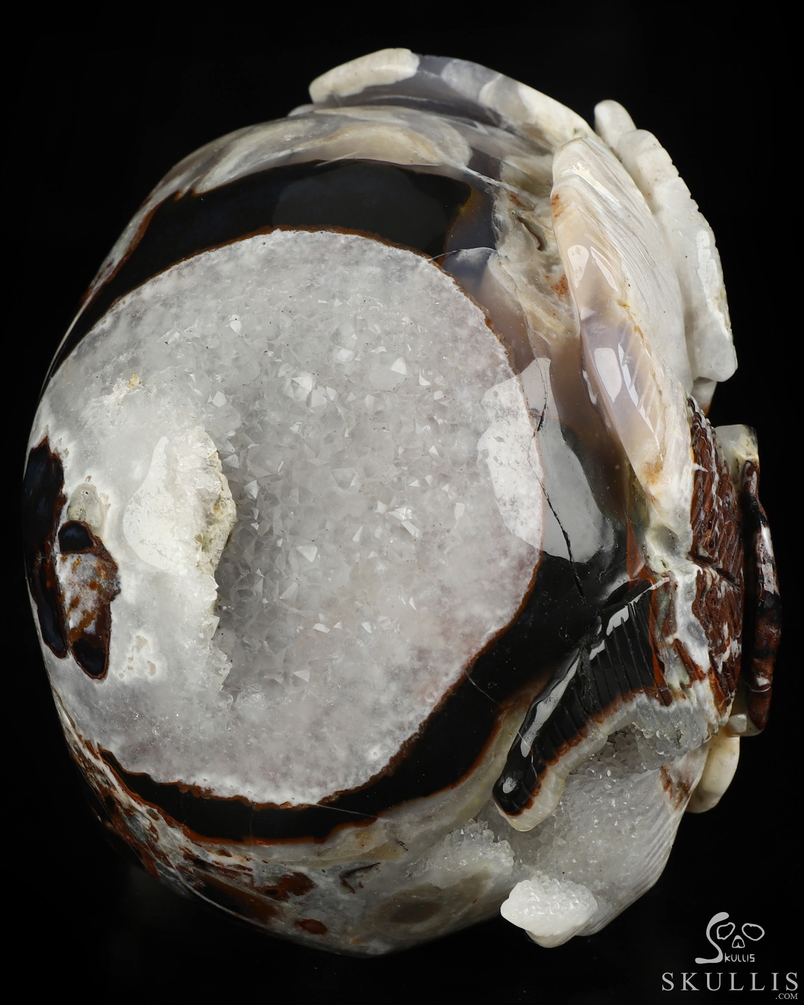5.9" Black Zebra Agate Hand Carved Crystal Skull and Flower Fine Art Sculpture, Crystal Healing 5.9" Black Zebra Agate Hand Carved Crystal Skull and Flower Fine Art Sculpture, Crystal Healing