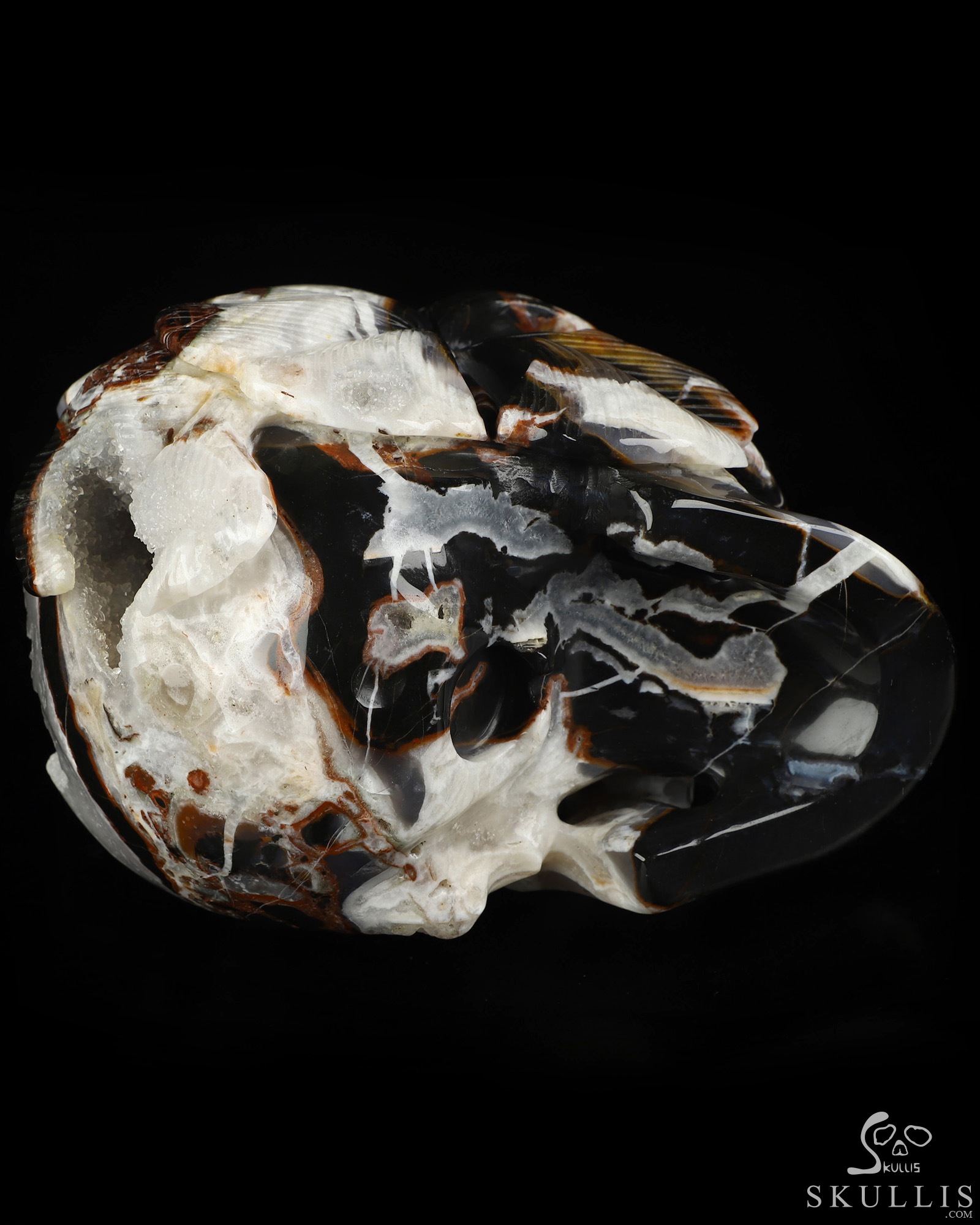 5.9" Black Zebra Agate Hand Carved Crystal Skull and Flower Fine Art Sculpture, Crystal Healing 5.9" Black Zebra Agate Hand Carved Crystal Skull and Flower Fine Art Sculpture, Crystal Healing